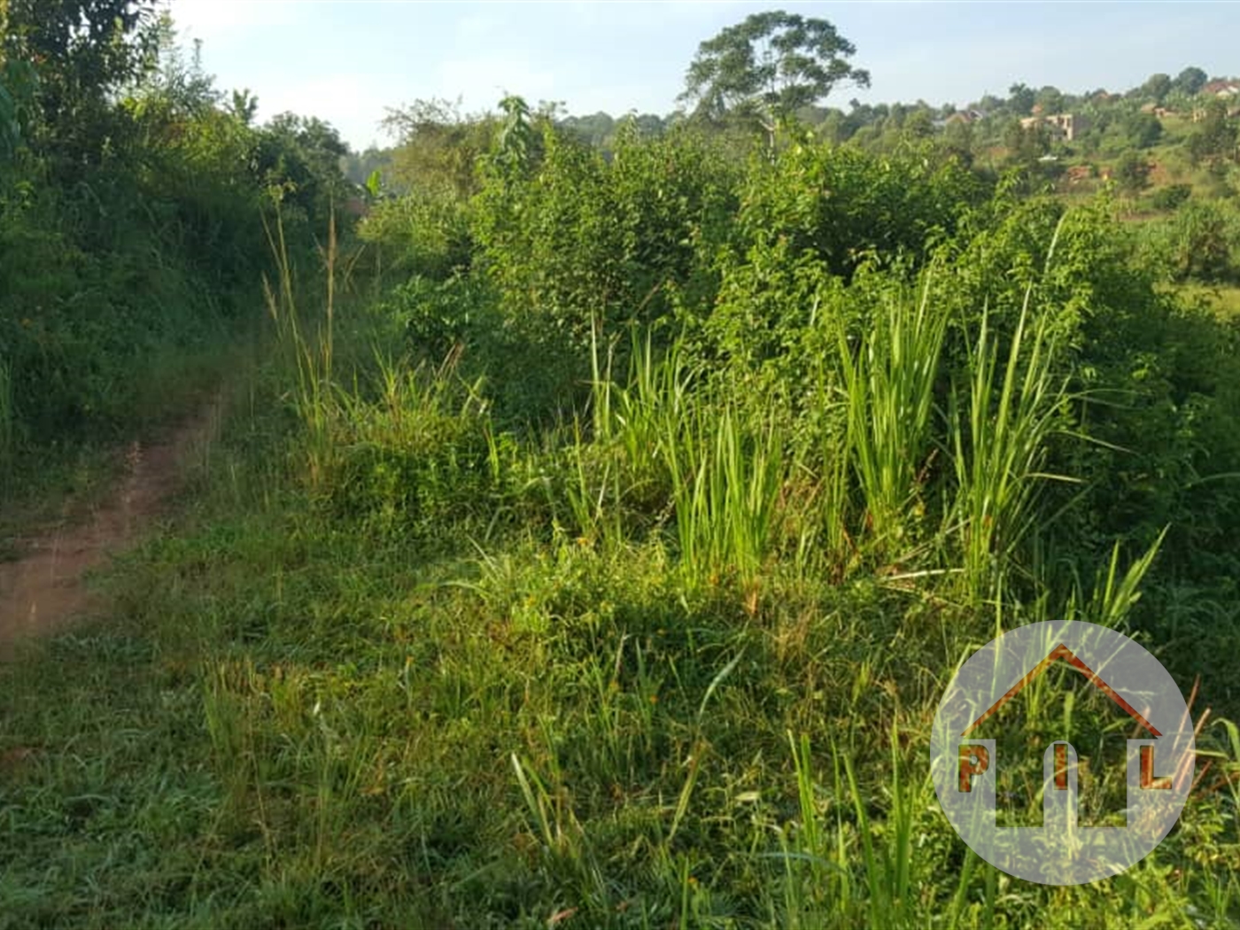 Residential Land for sale in Mpumu Mukono