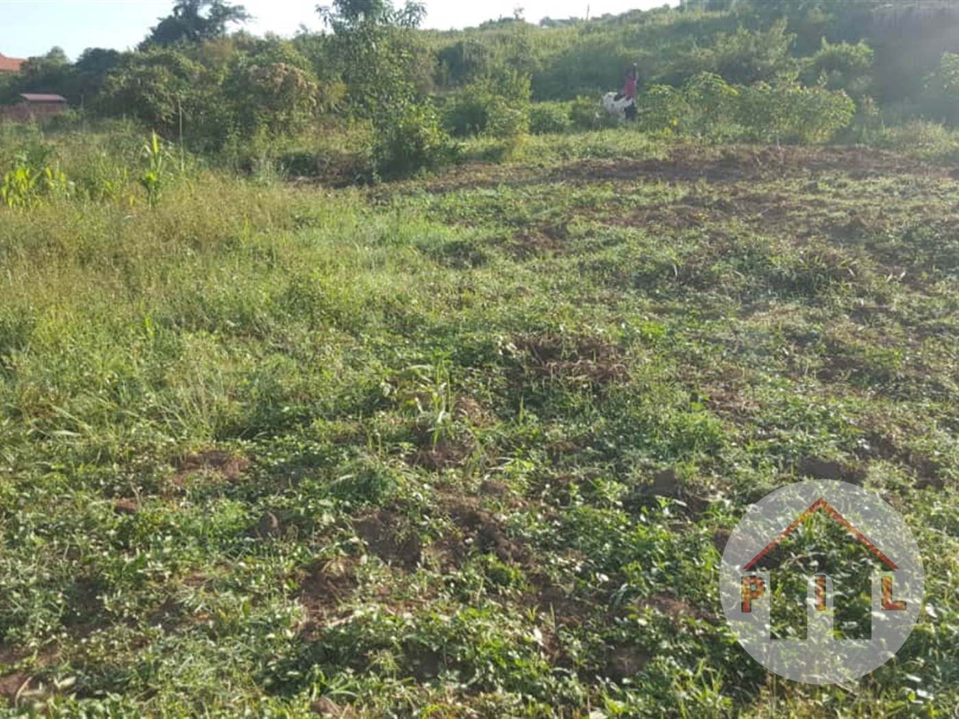 Agricultural Land for sale in Bunankanda Mukono