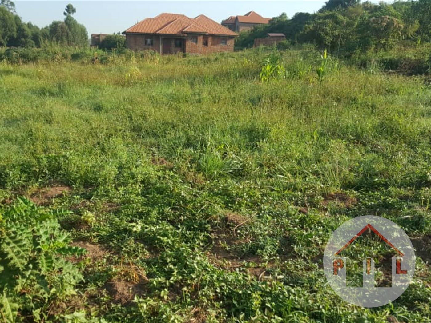 Residential Land for sale in Ssanga Wakiso