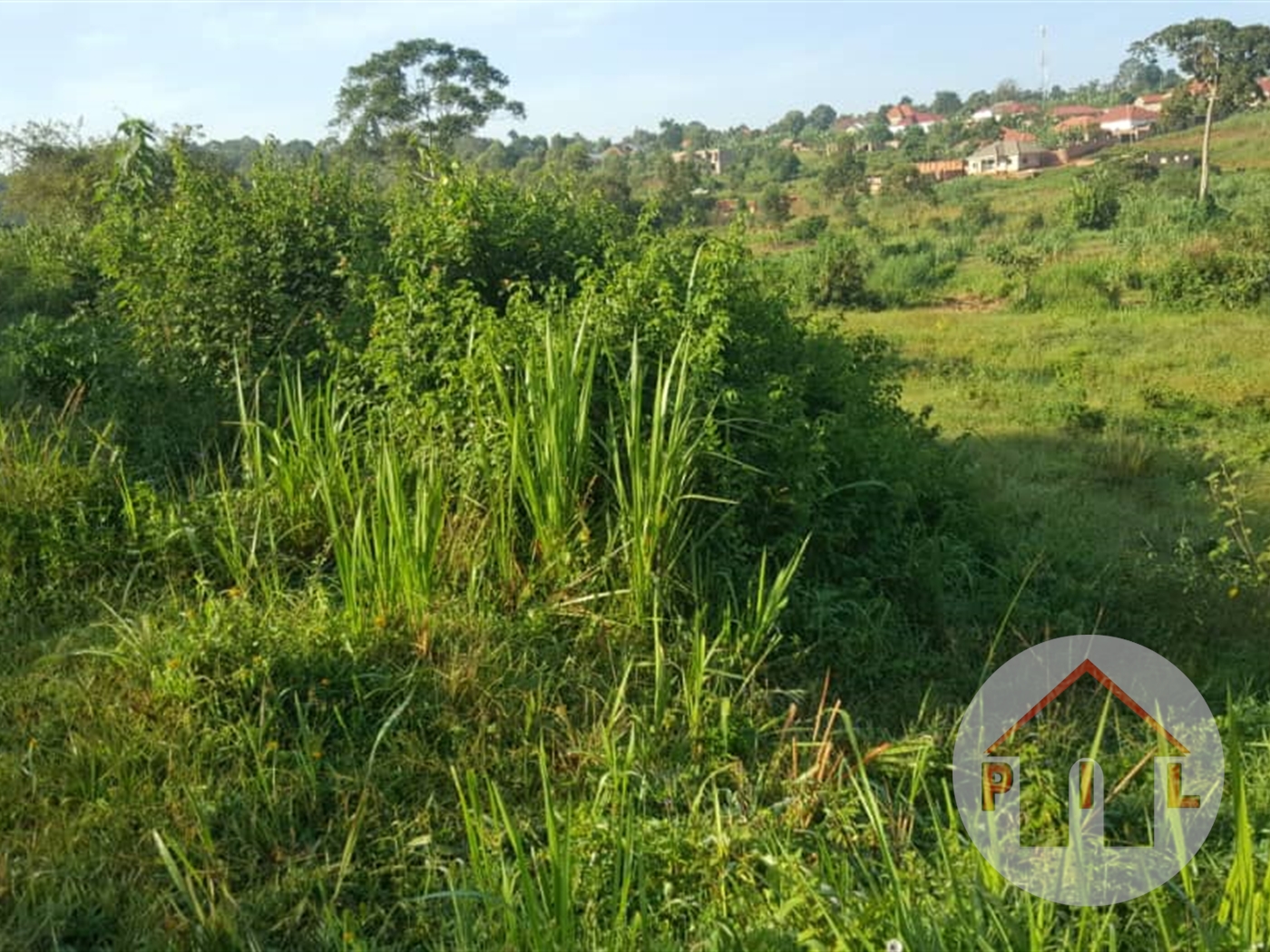 Agricultural Land for sale in Lungala Mpigi