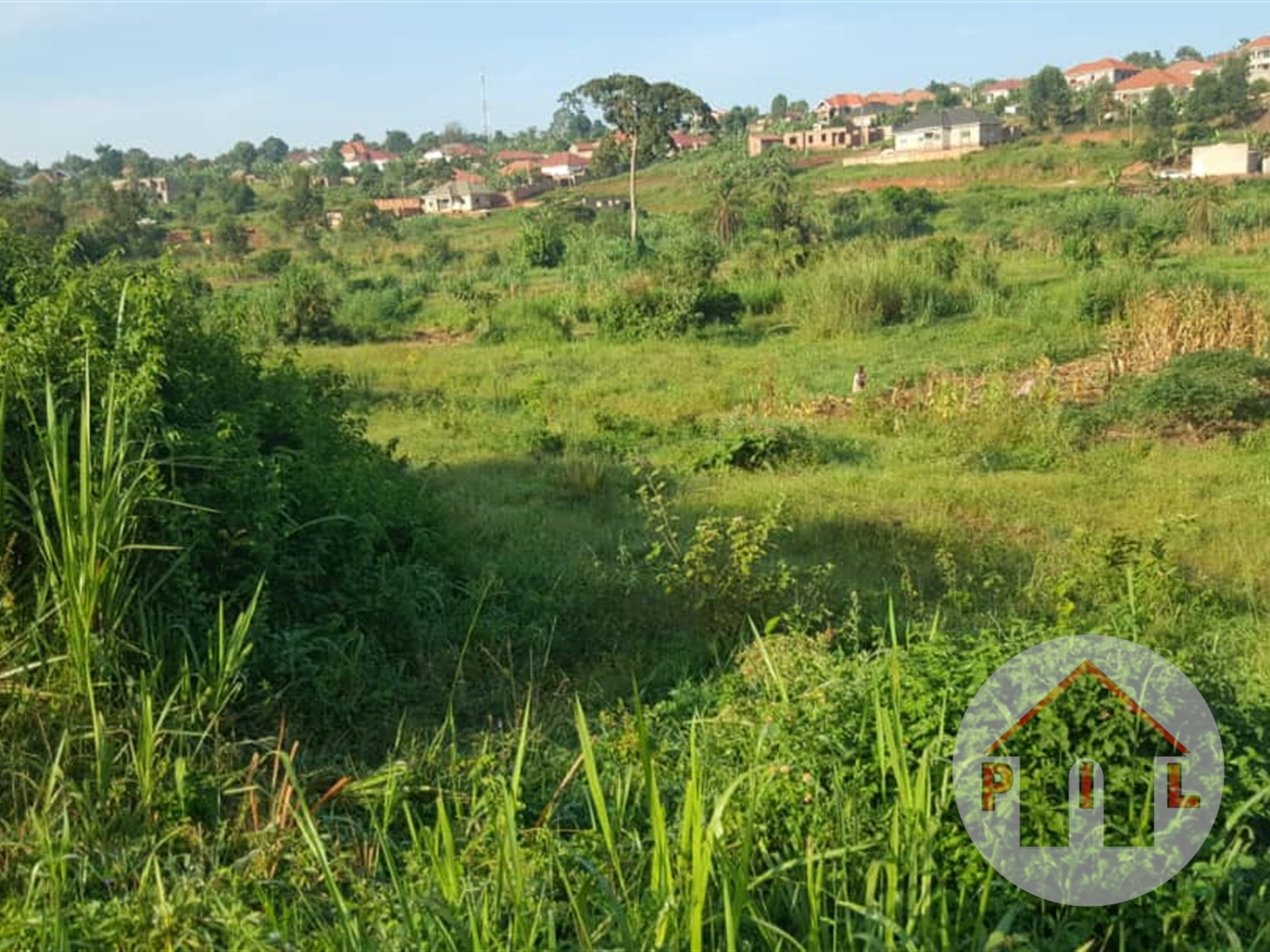 Agricultural Land for sale in Lungala Mpigi