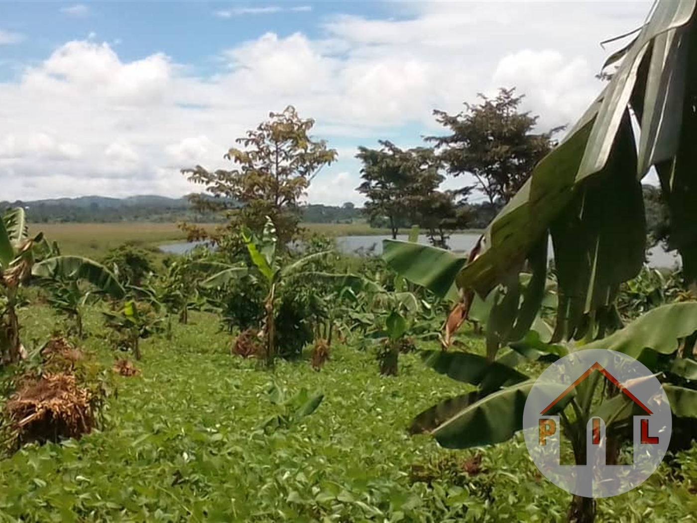 Multipurpose Land for sale in Ndibulungi Luweero