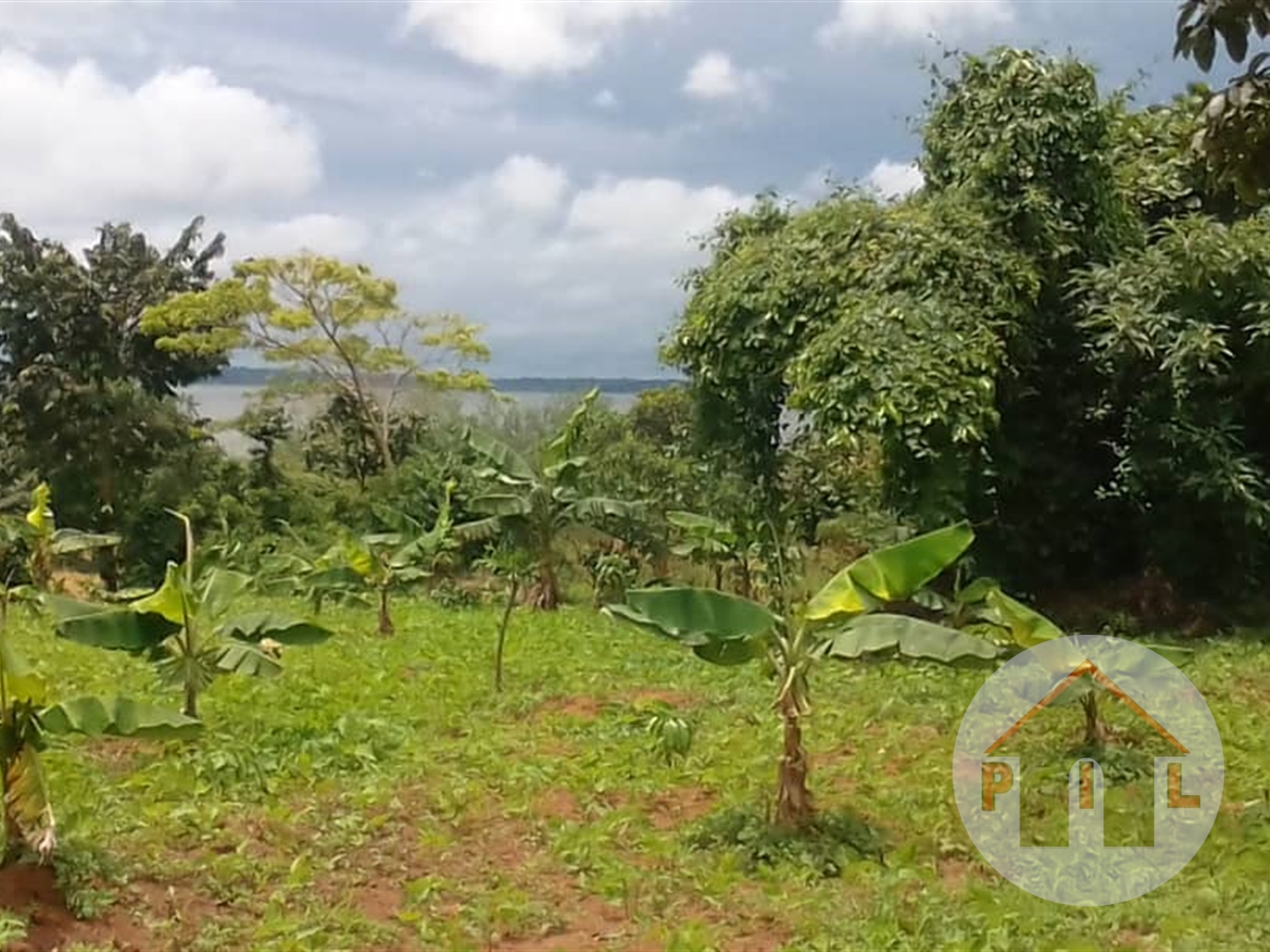 Multipurpose Land for sale in Ndibulungi Luweero