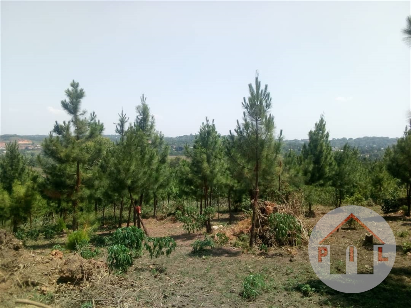 Residential Land for sale in Kiwenda Wakiso