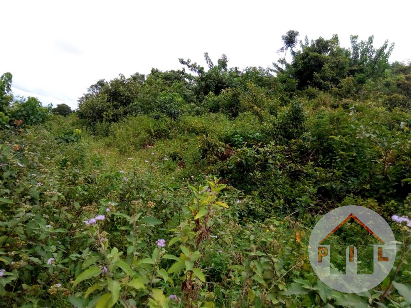 Residential Land for sale in Bwebajja Wakiso