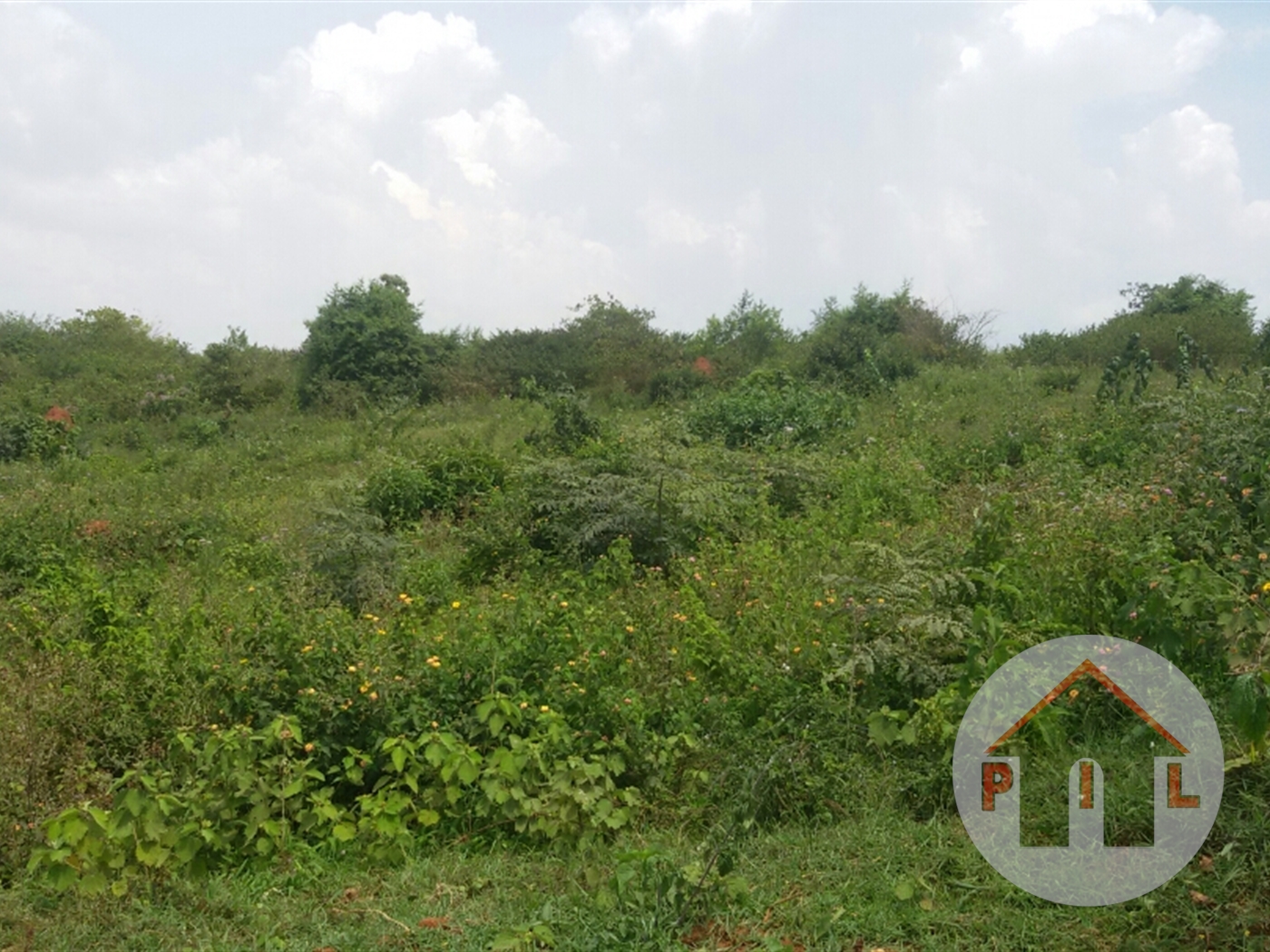 Recreational Land for sale in Buwaya Wakiso