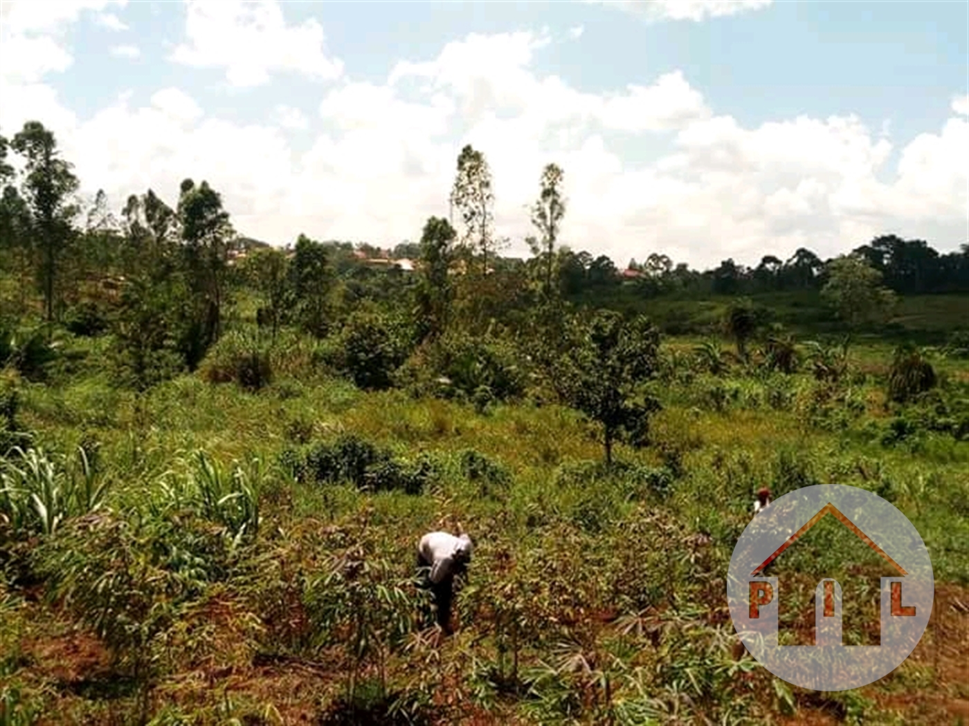 Multipurpose Land for sale in Busiika Luweero