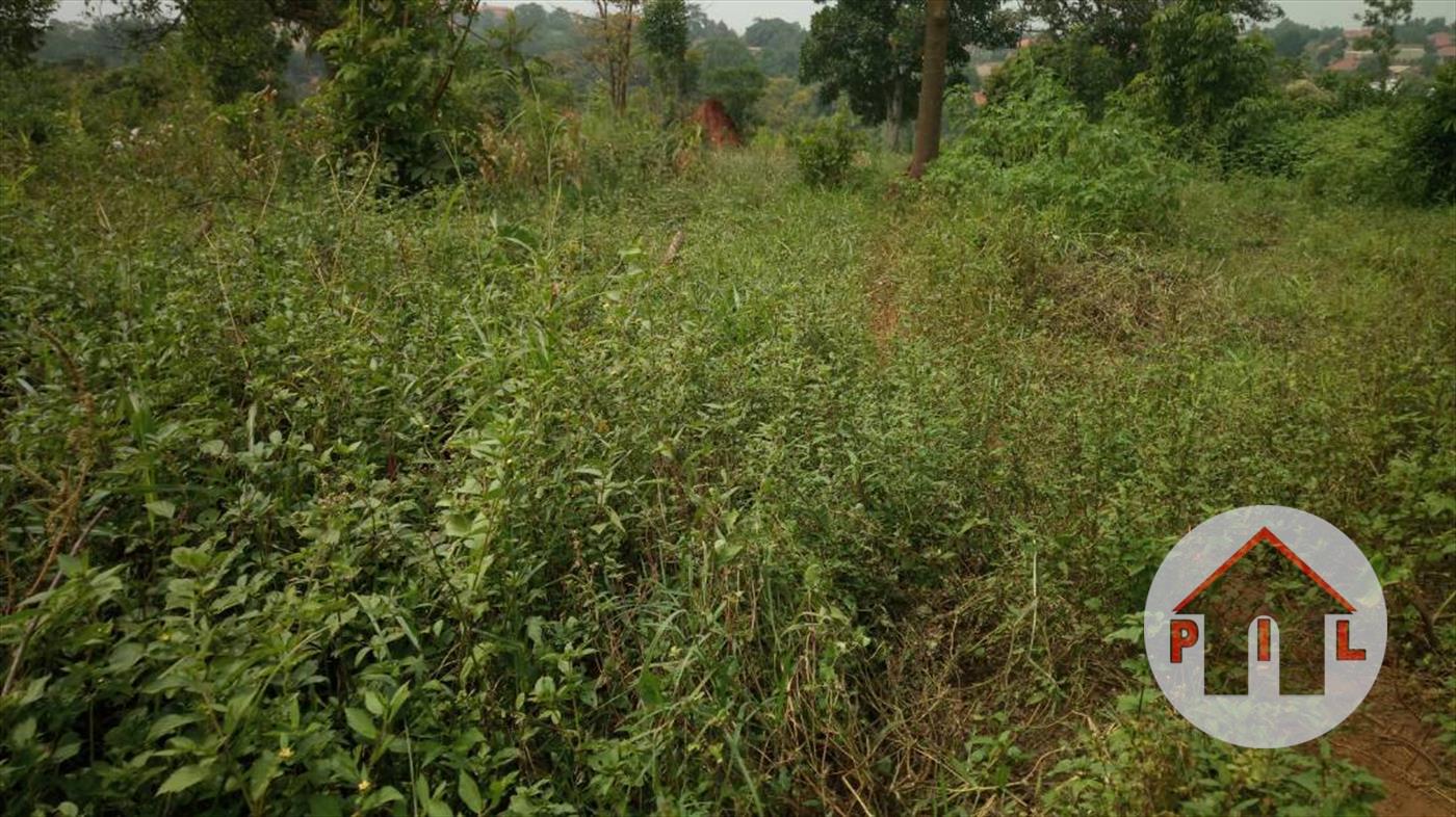 Agricultural Land for sale in Kayabwe Masaka