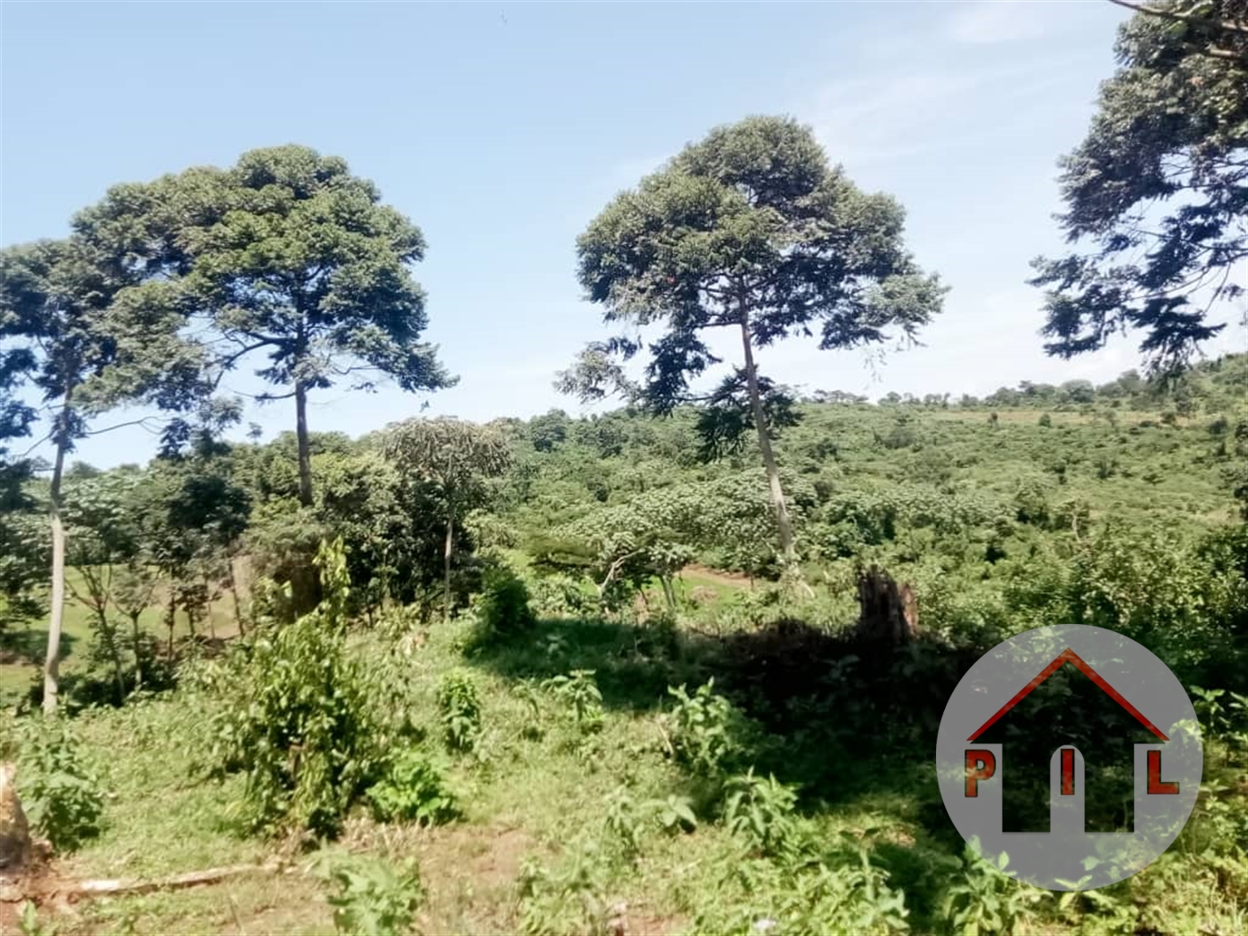 Agricultural Land for sale in Kakuuto Wakiso