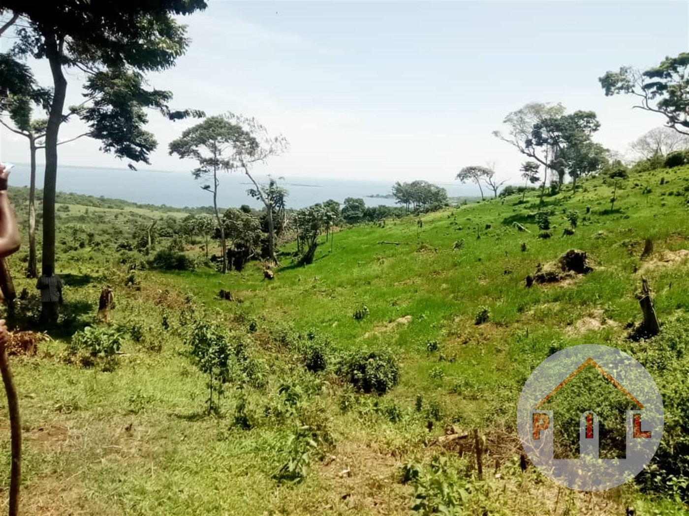 Agricultural Land for sale in Kakuuto Wakiso