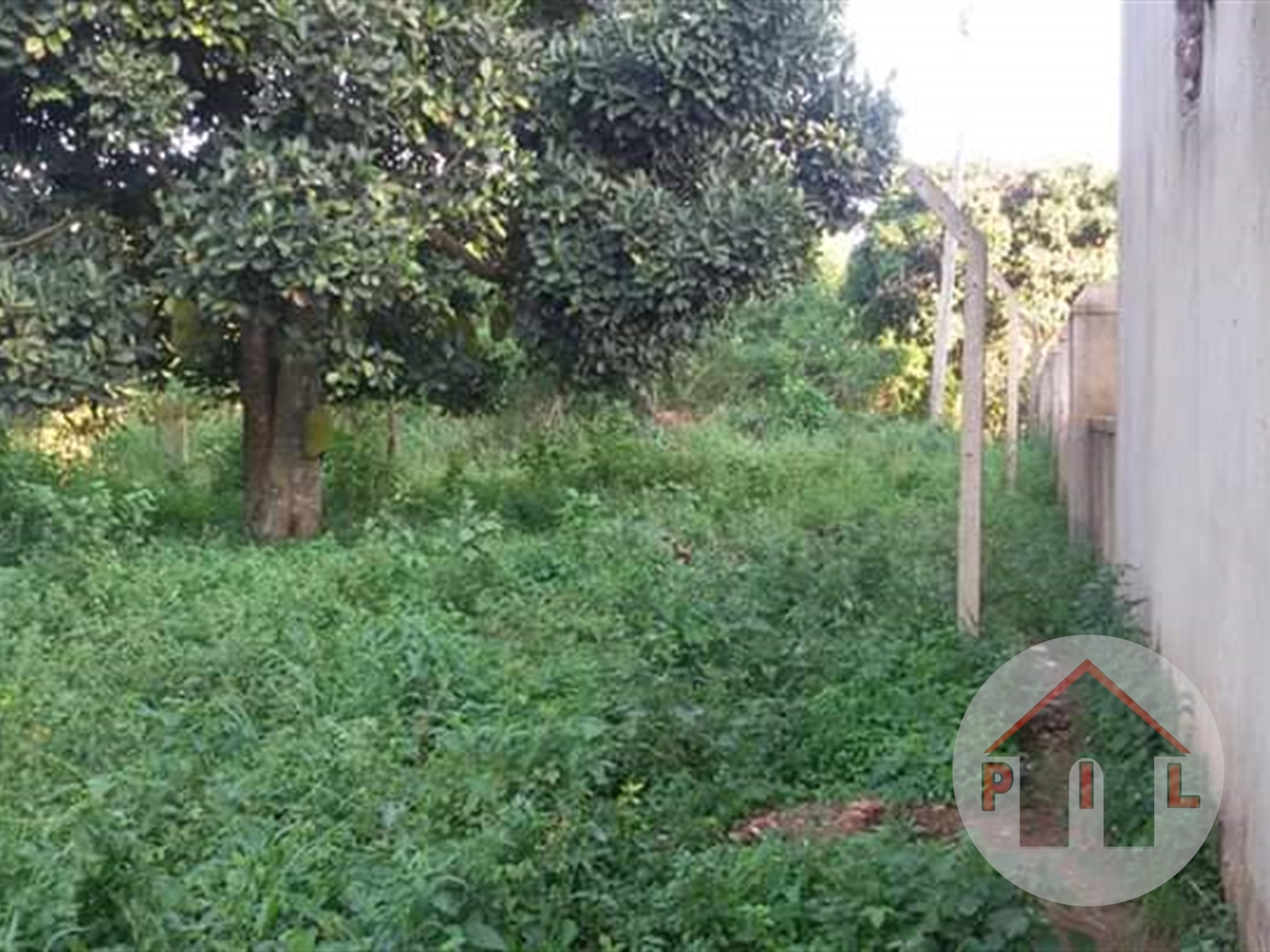 Agricultural Land for sale in Nkumba Wakiso