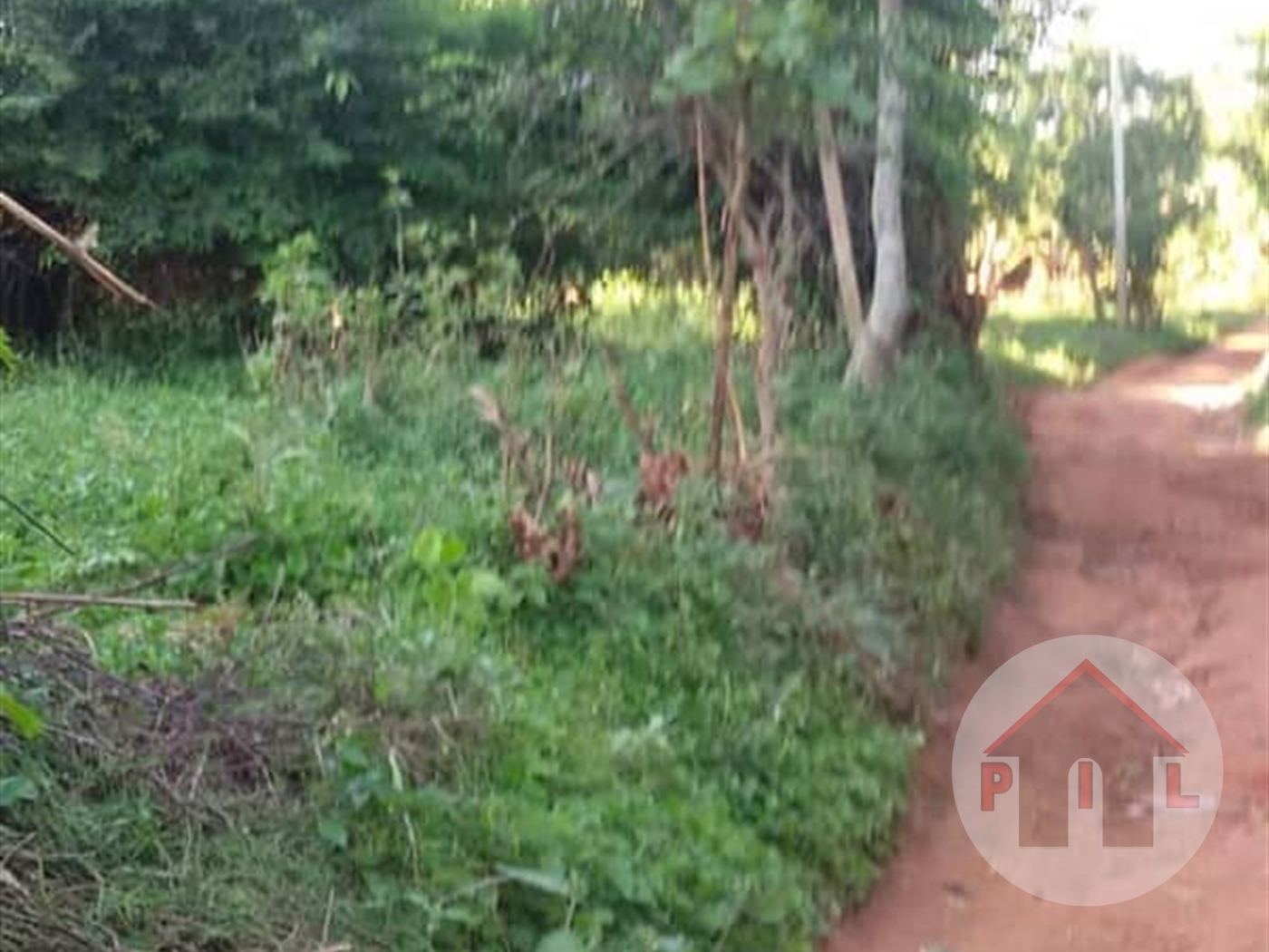 Agricultural Land for sale in Nkumba Wakiso