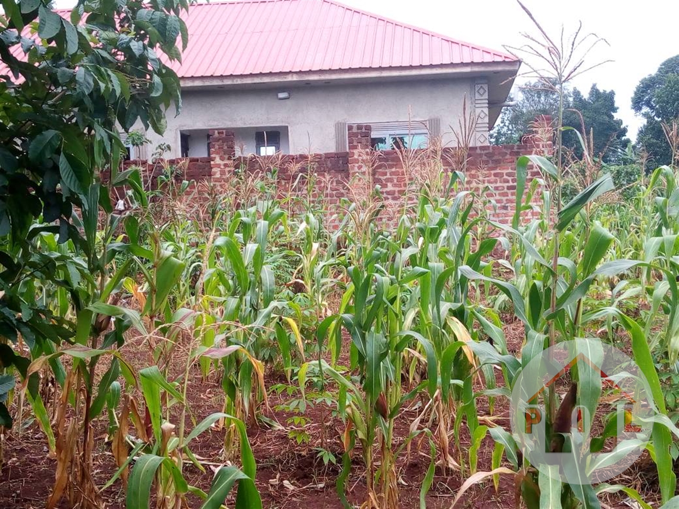 Residential Land for sale in Kitukutwe Wakiso