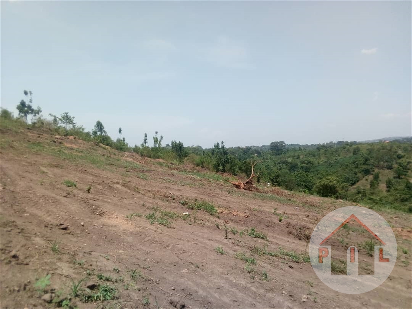 Agricultural Land for sale in Kasenyi Wakiso