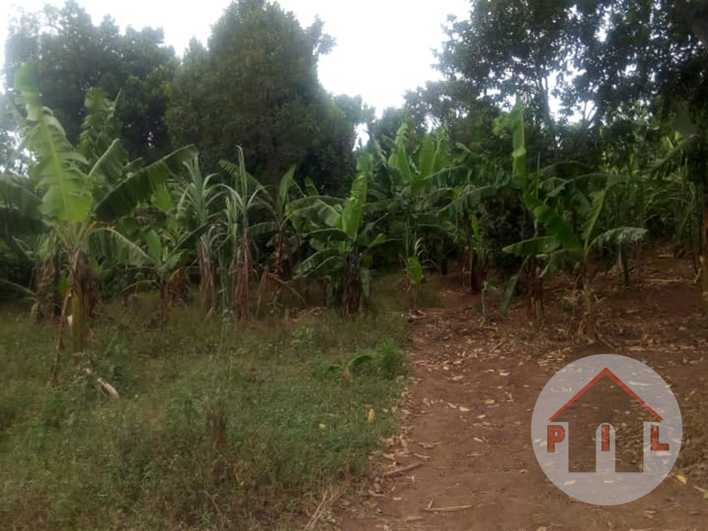 Agricultural Land for sale in Nateete Kampala