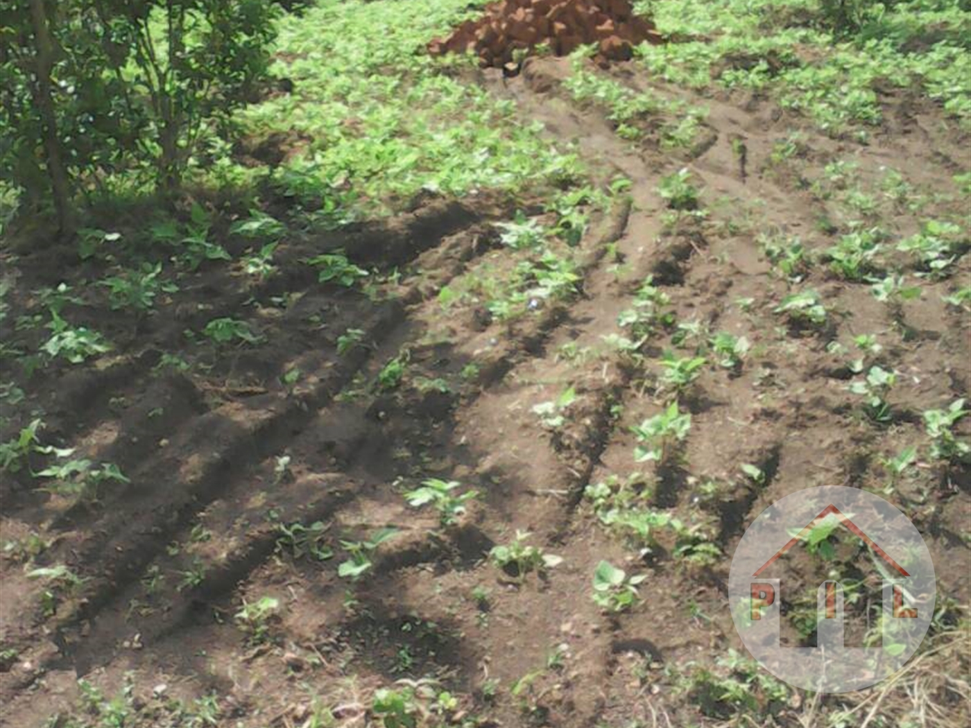 Residential Land for sale in Lugo Wakiso