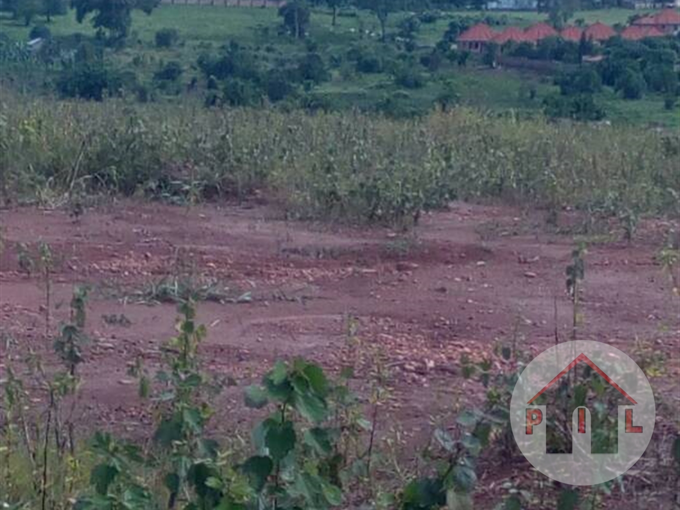 Residential Land for sale in Kakiri Wakiso