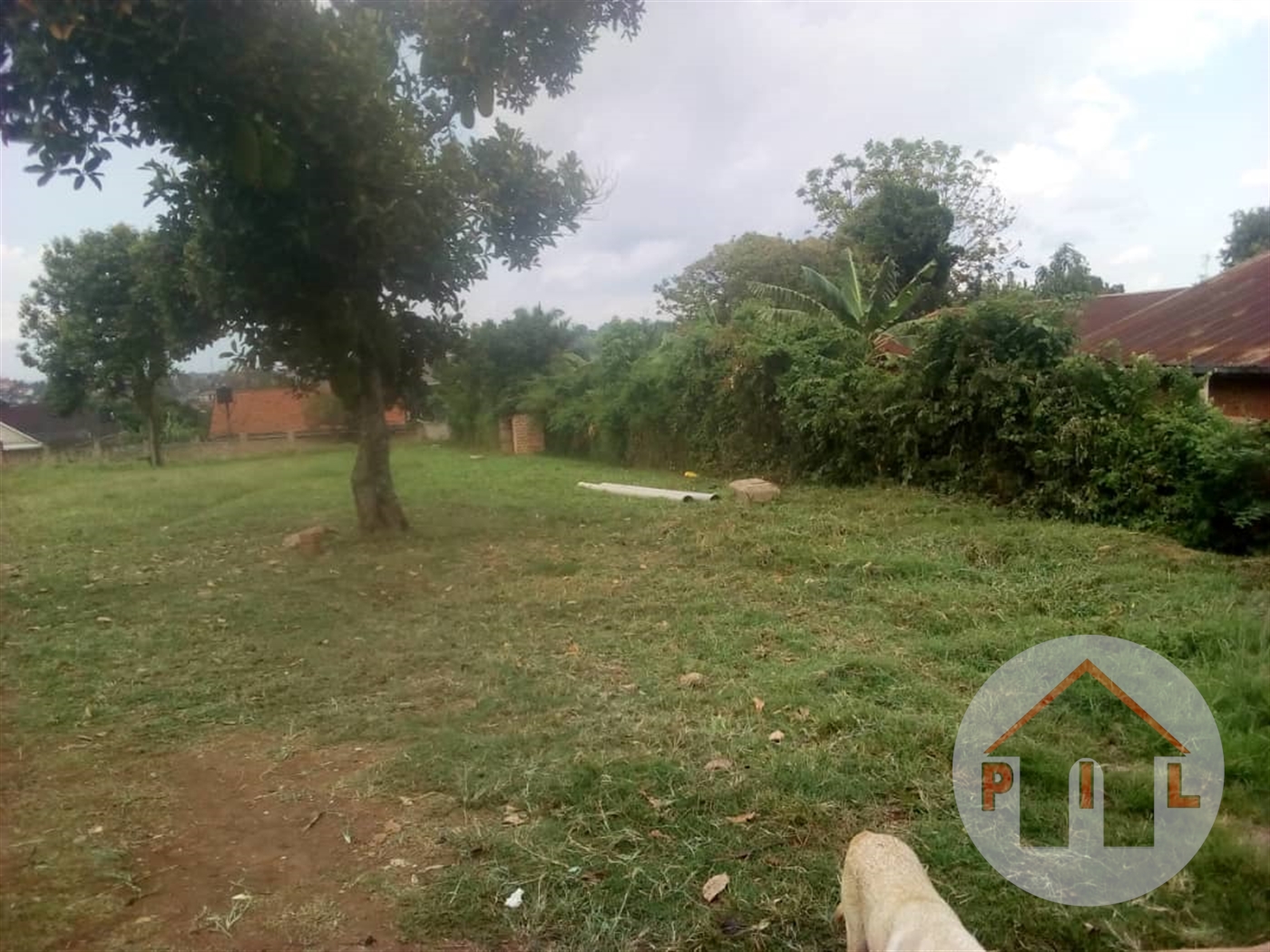 Agricultural Land for sale in Kakooge Luweero