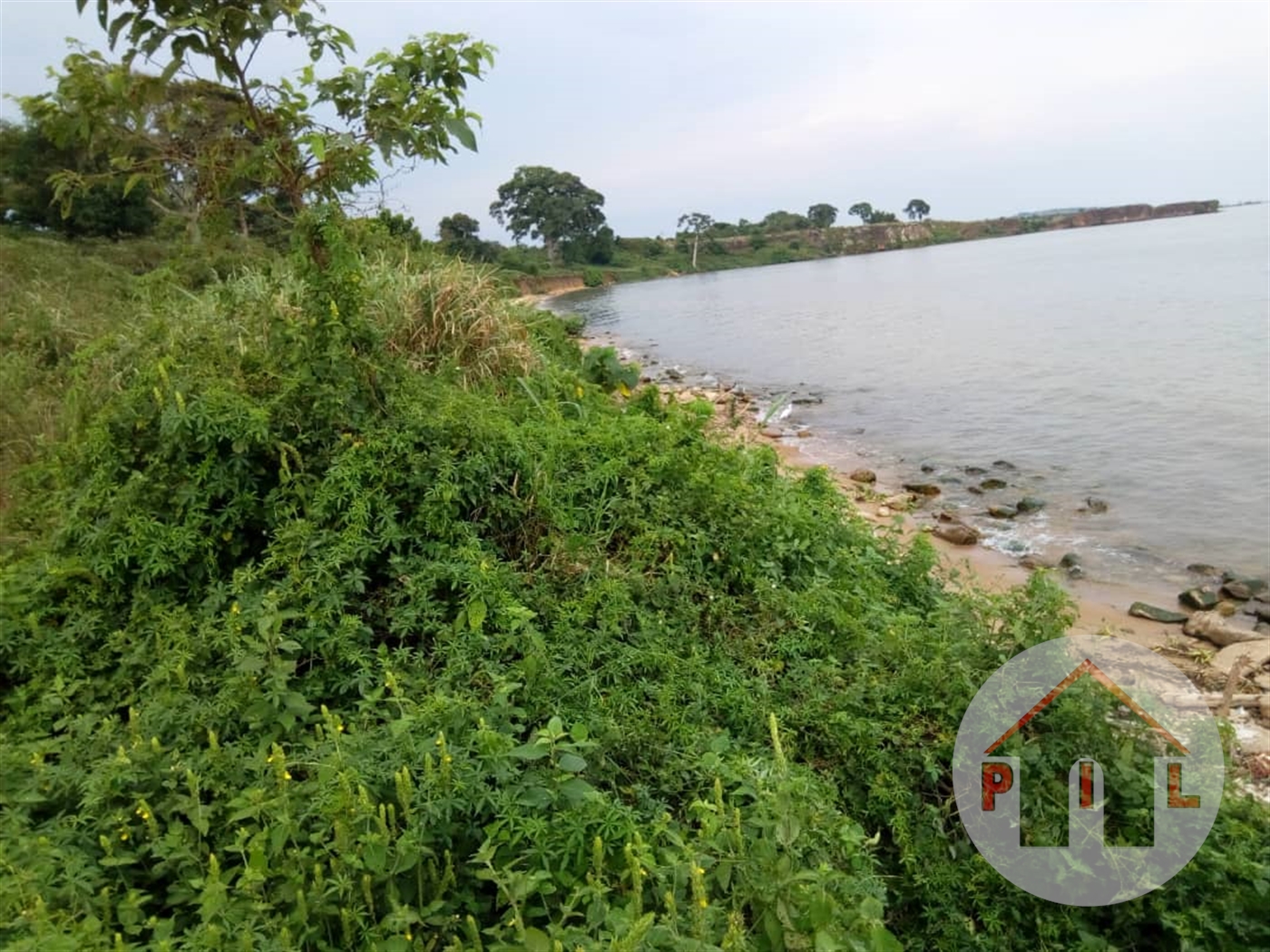 Agricultural Land for sale in Bwelenga Wakiso