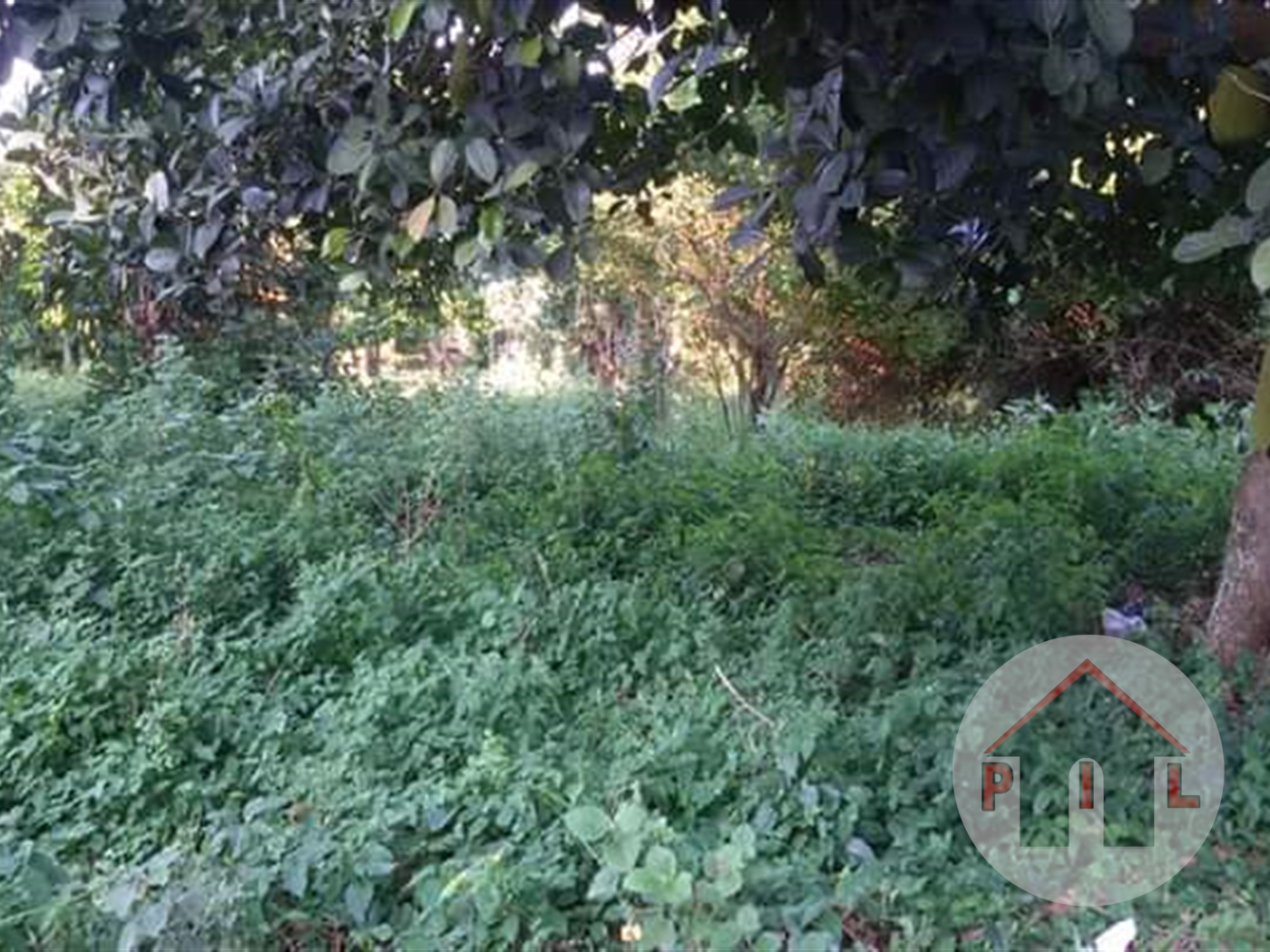 Agricultural Land for sale in Nakakono Luweero