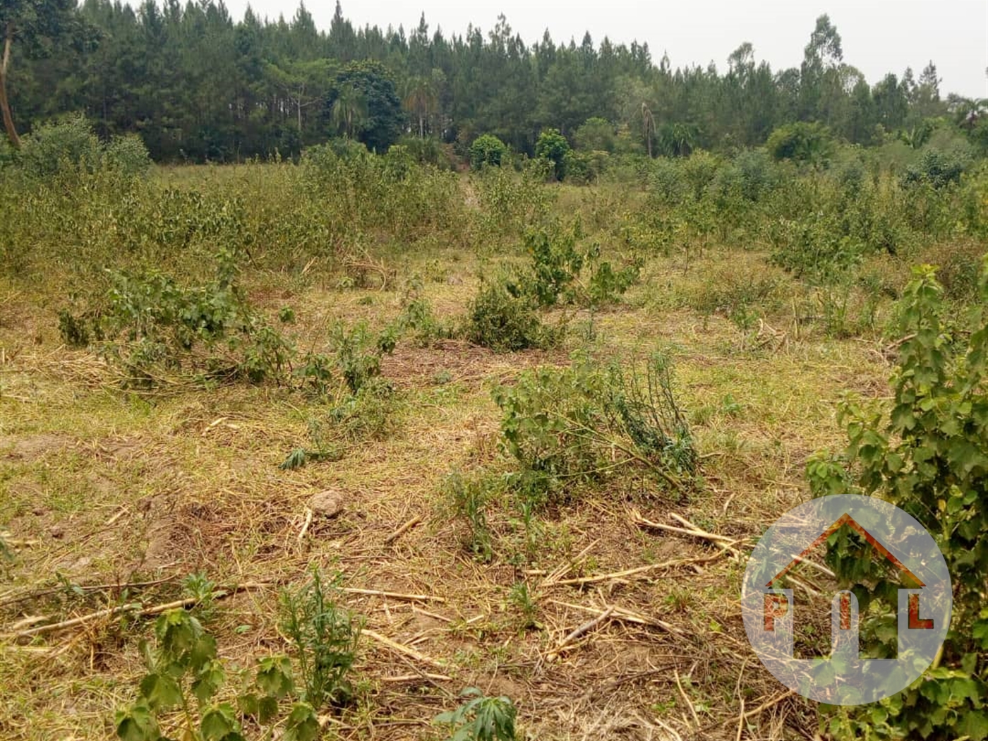 Agricultural Land for sale in Kyawangabi Luweero