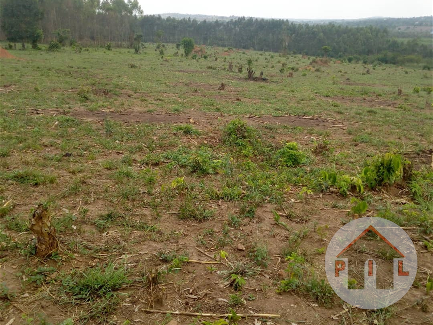 Agricultural Land for sale in Kikyuusa Luweero