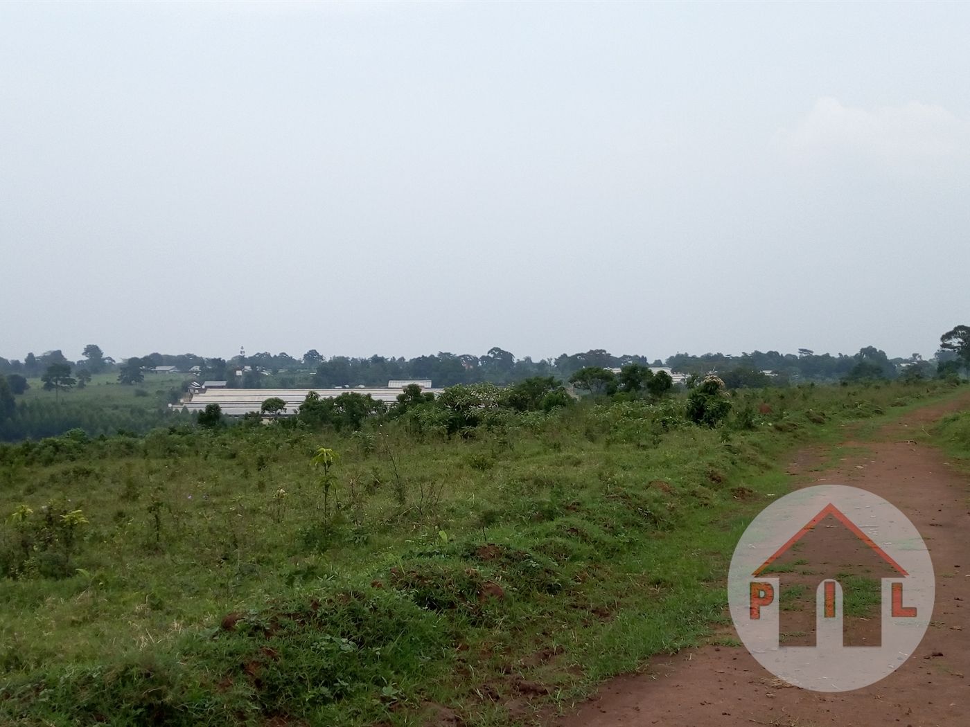 Agricultural Land for sale in Namalimba Luweero