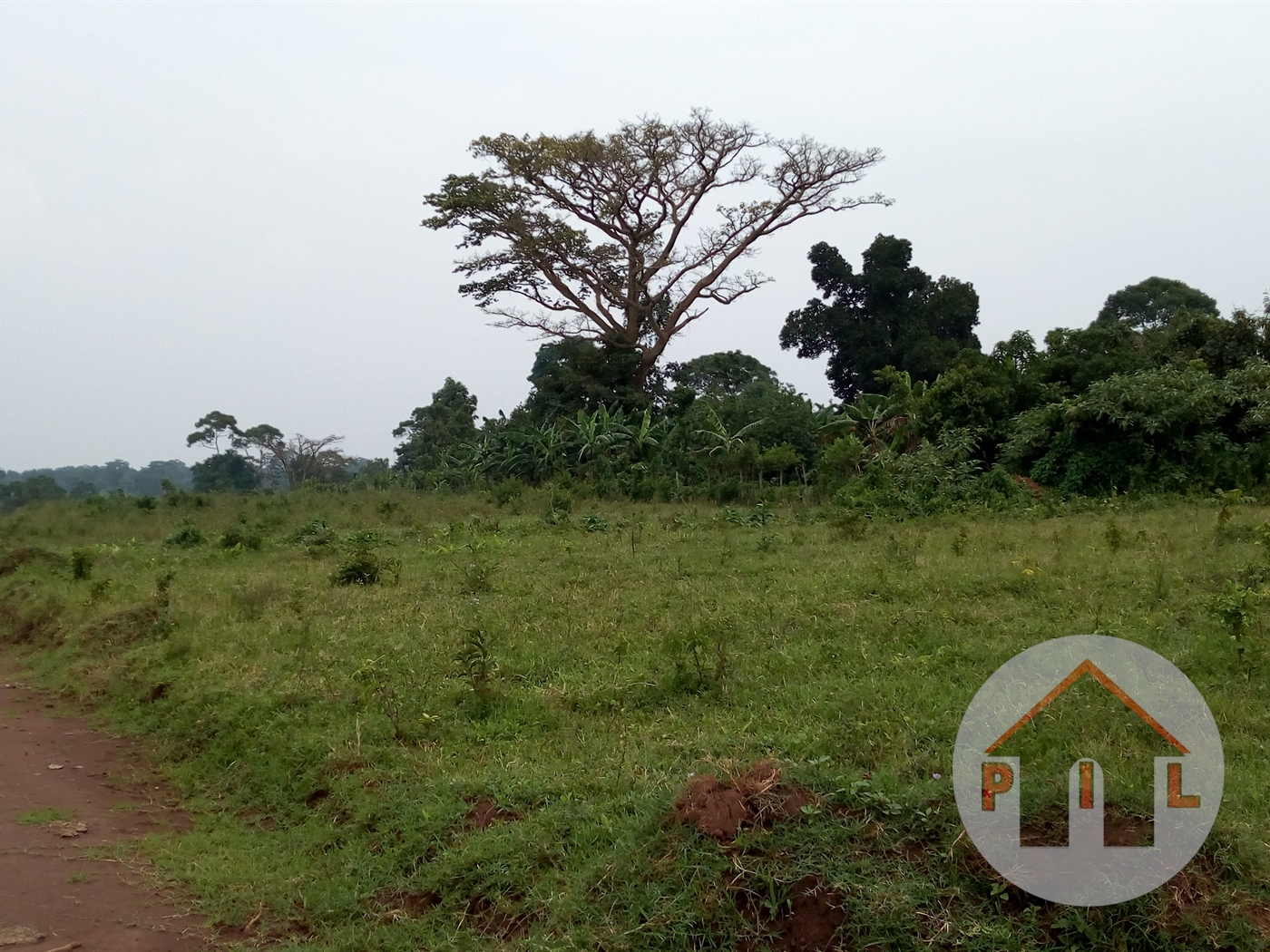 Agricultural Land for sale in Namalimba Luweero