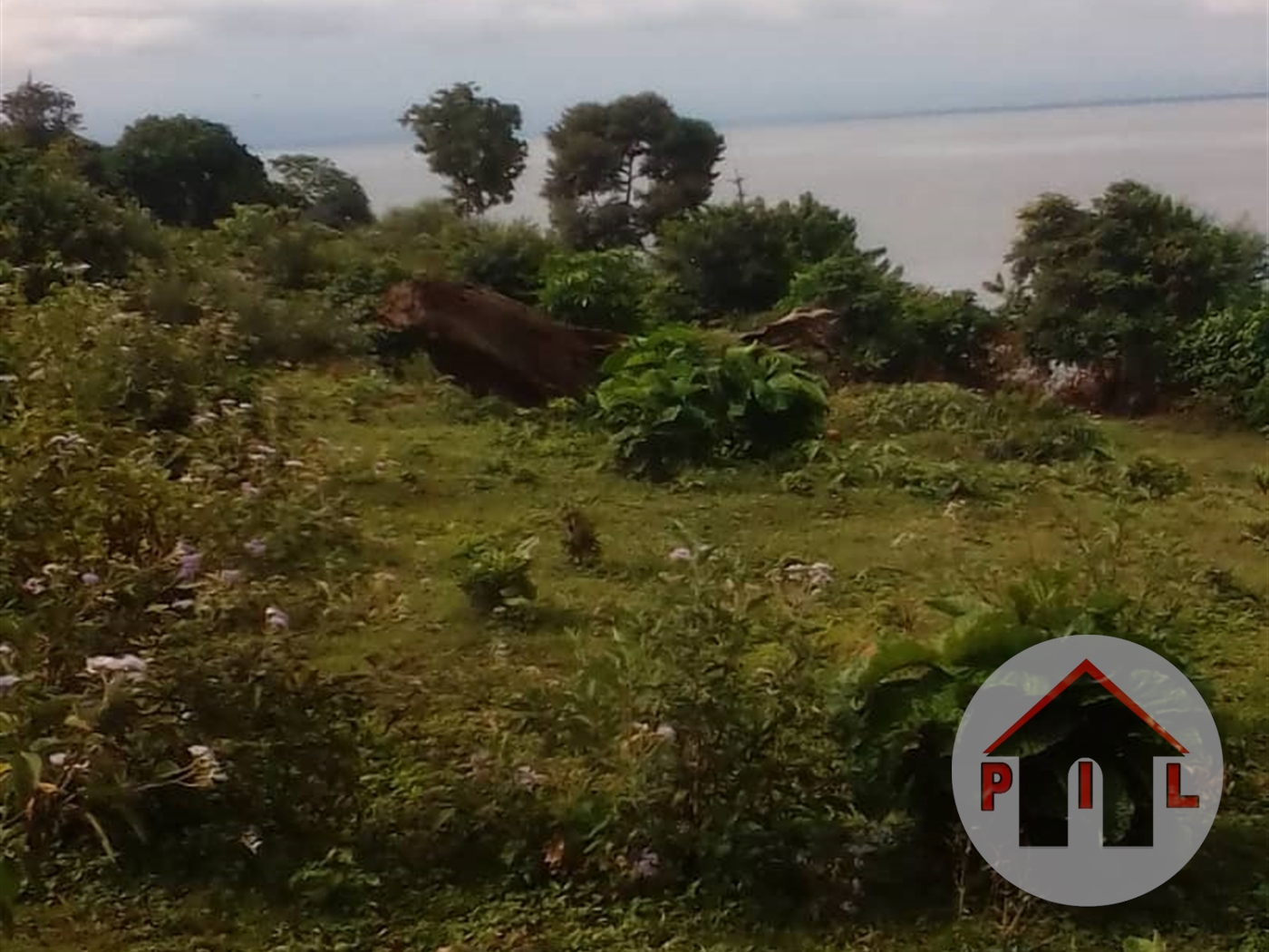 Agricultural Land for sale in Lukiizi Luweero