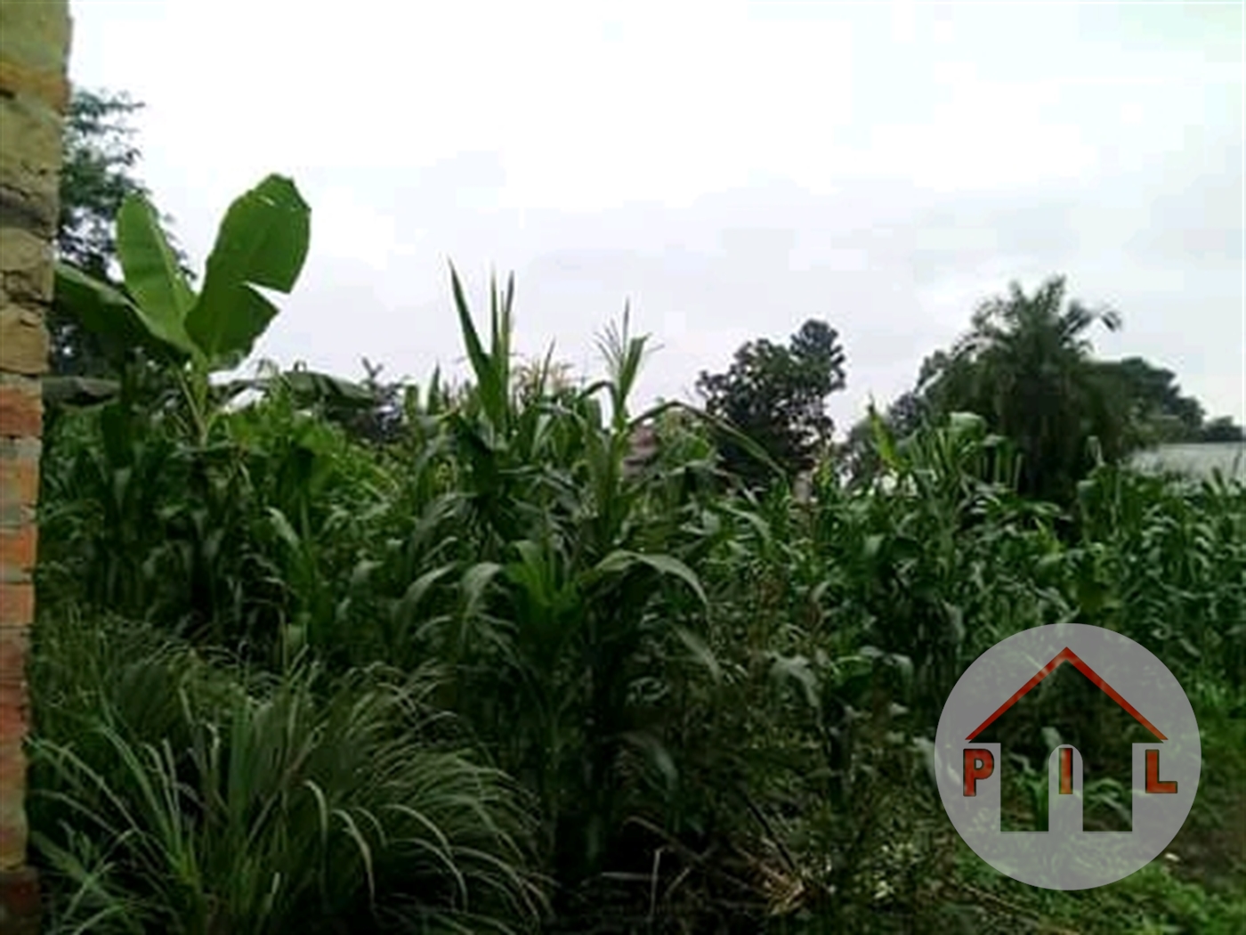 Agricultural Land for sale in Kabamba Mubende