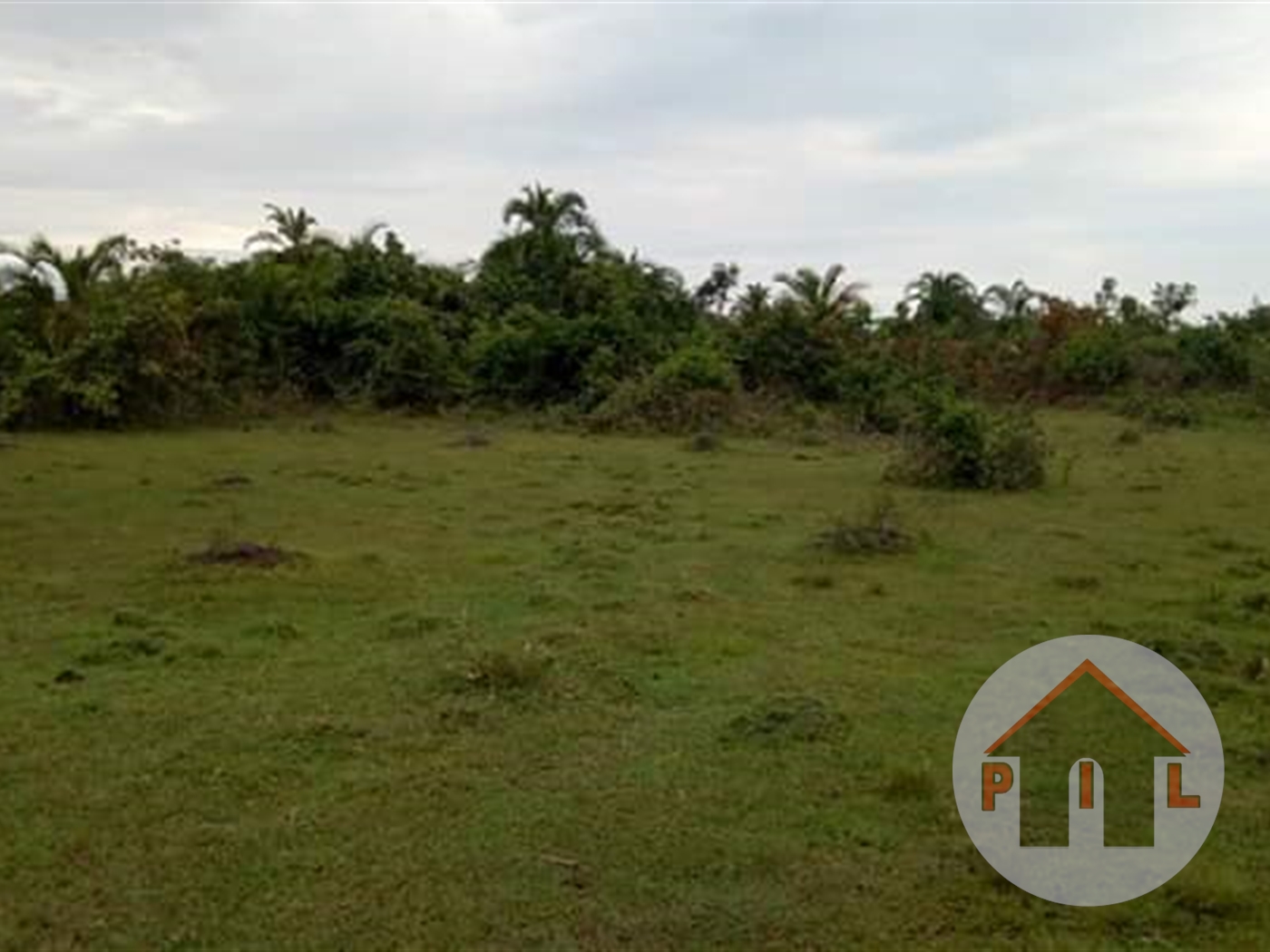 Agricultural Land for sale in Kyabaganga Nakasongola