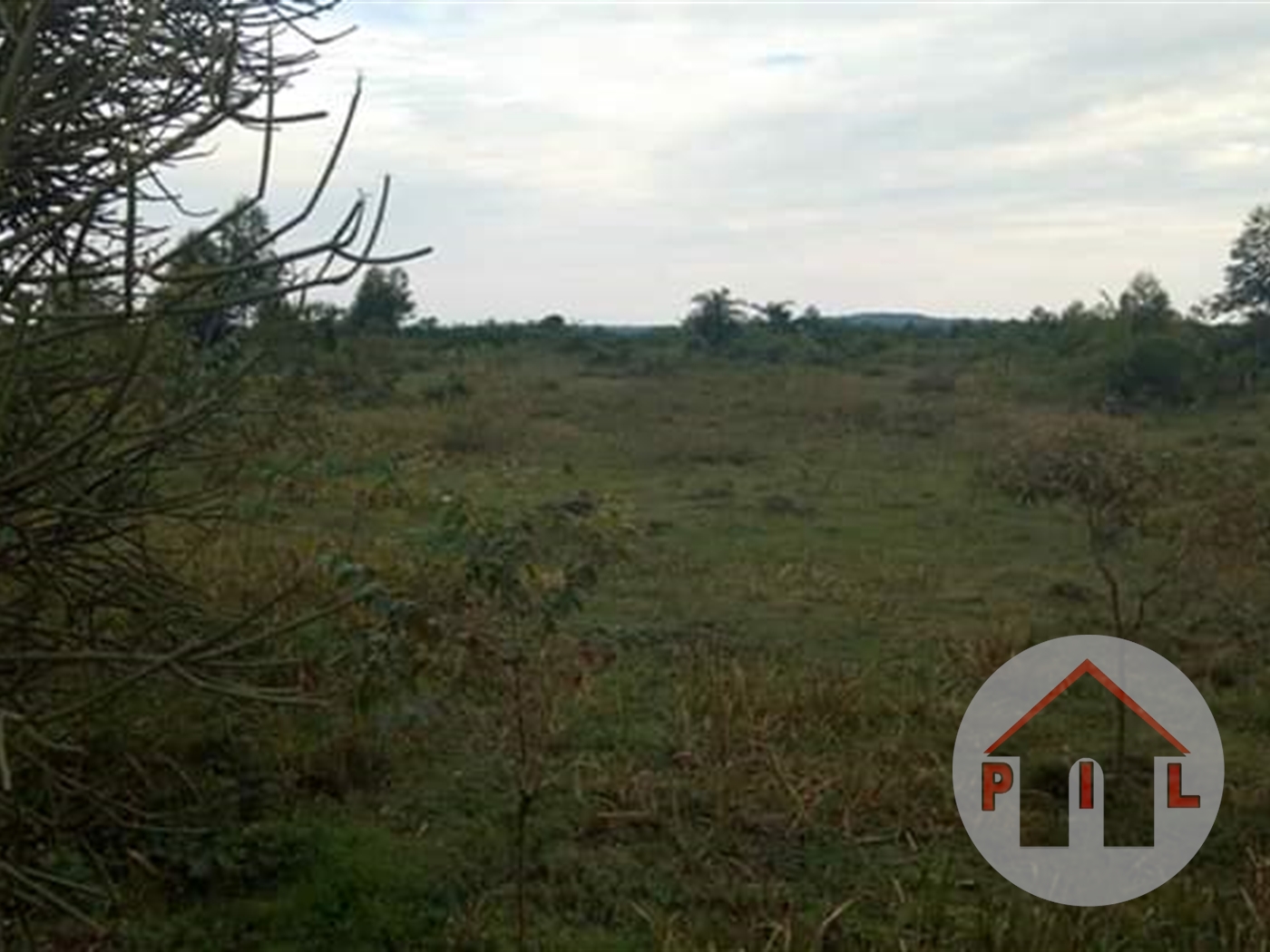 Agricultural Land for sale in Kikube Luweero