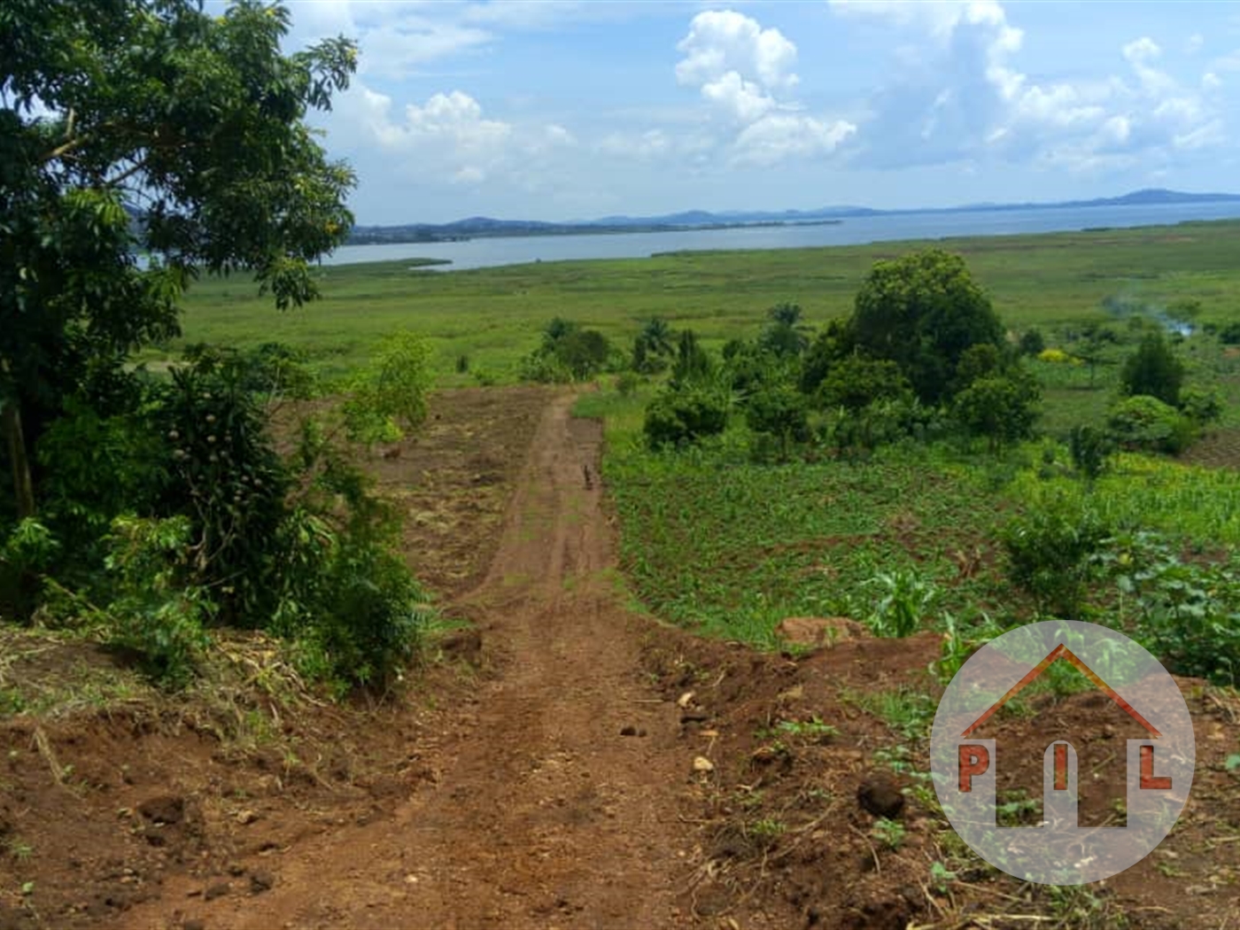 Agricultural Land for sale in Mpatta Kampala