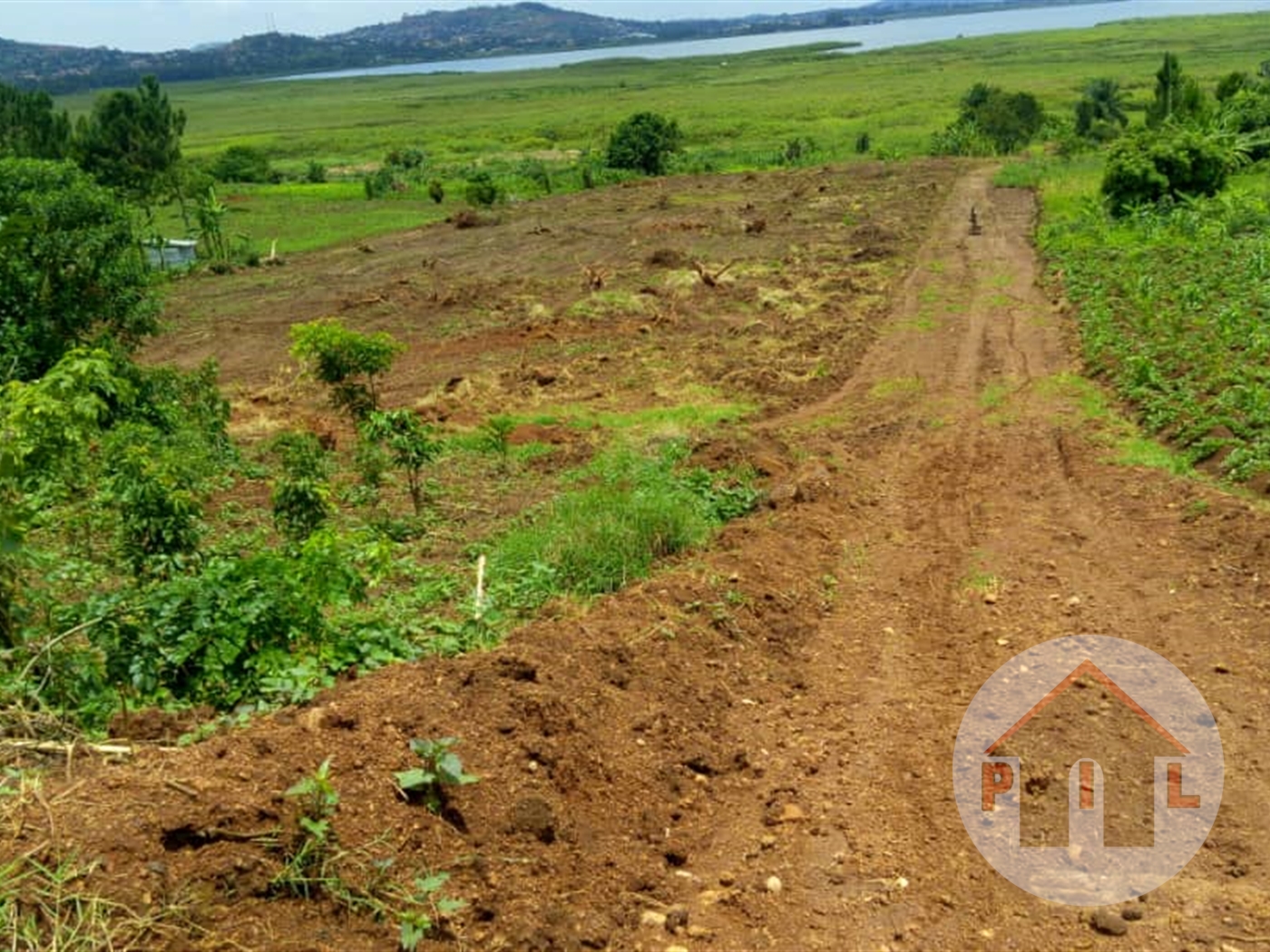Agricultural Land for sale in Mpatta Kampala