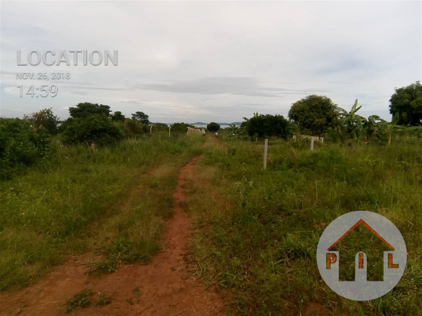 Agricultural Land for sale in Nalongo Luweero