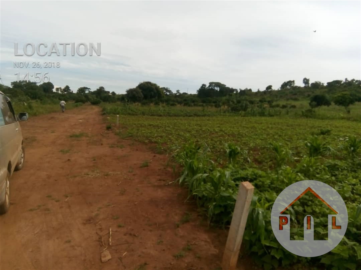 Agricultural Land for sale in Nalongo Luweero