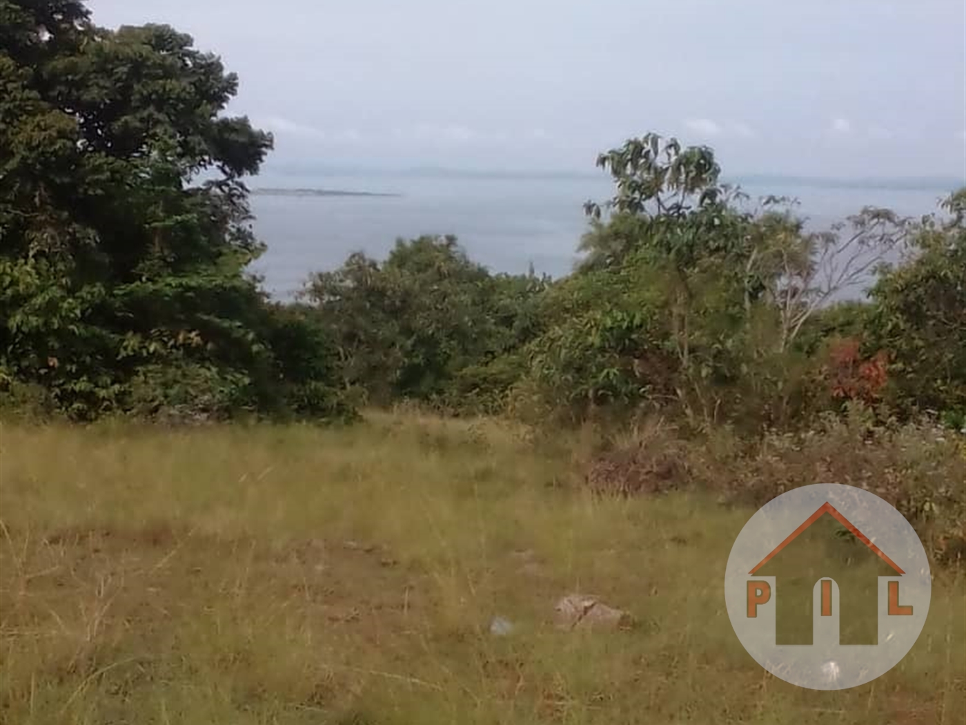 Agricultural Land for sale in Katente Mukono