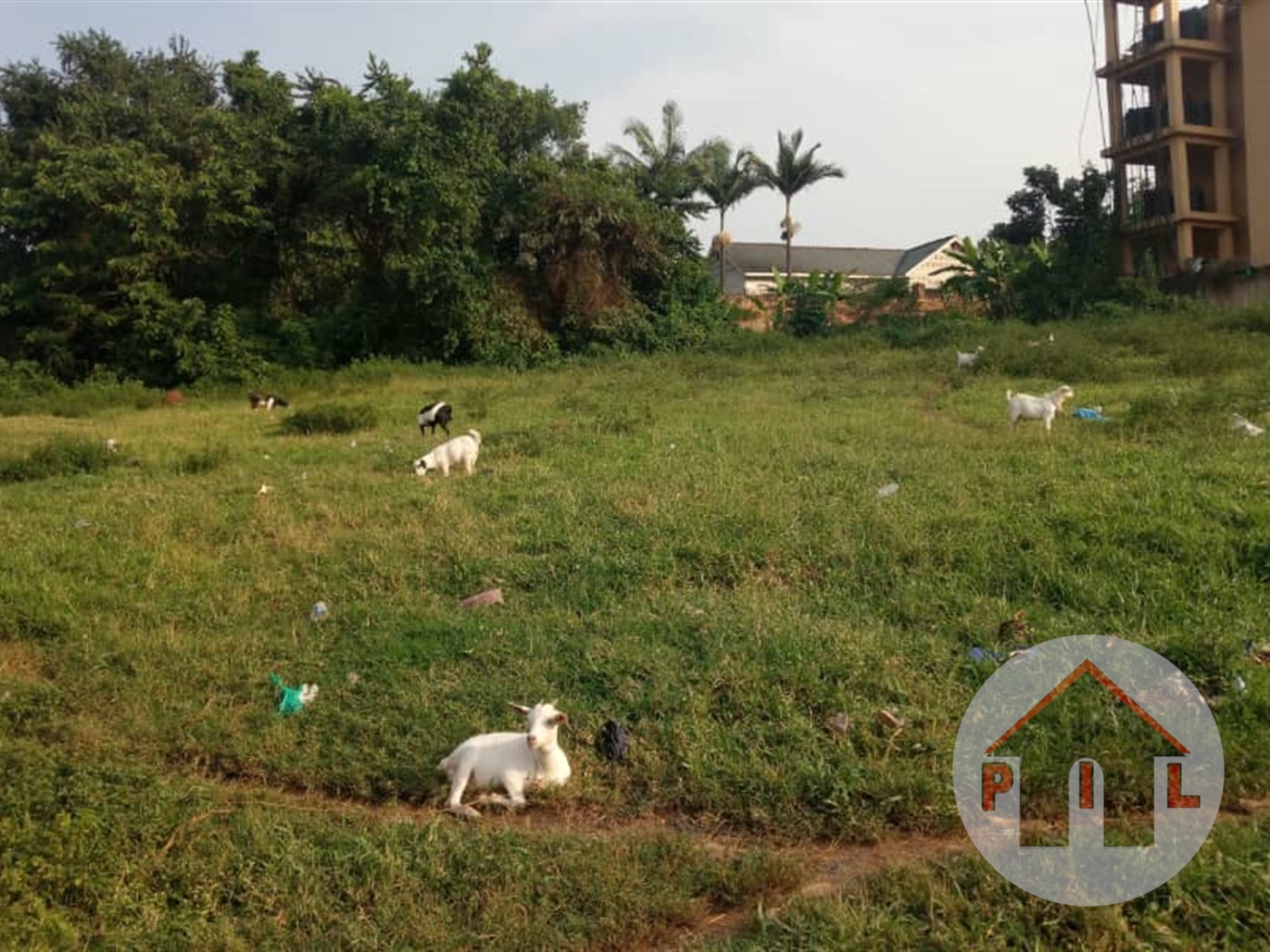 Residential Land for sale in Najjera Wakiso