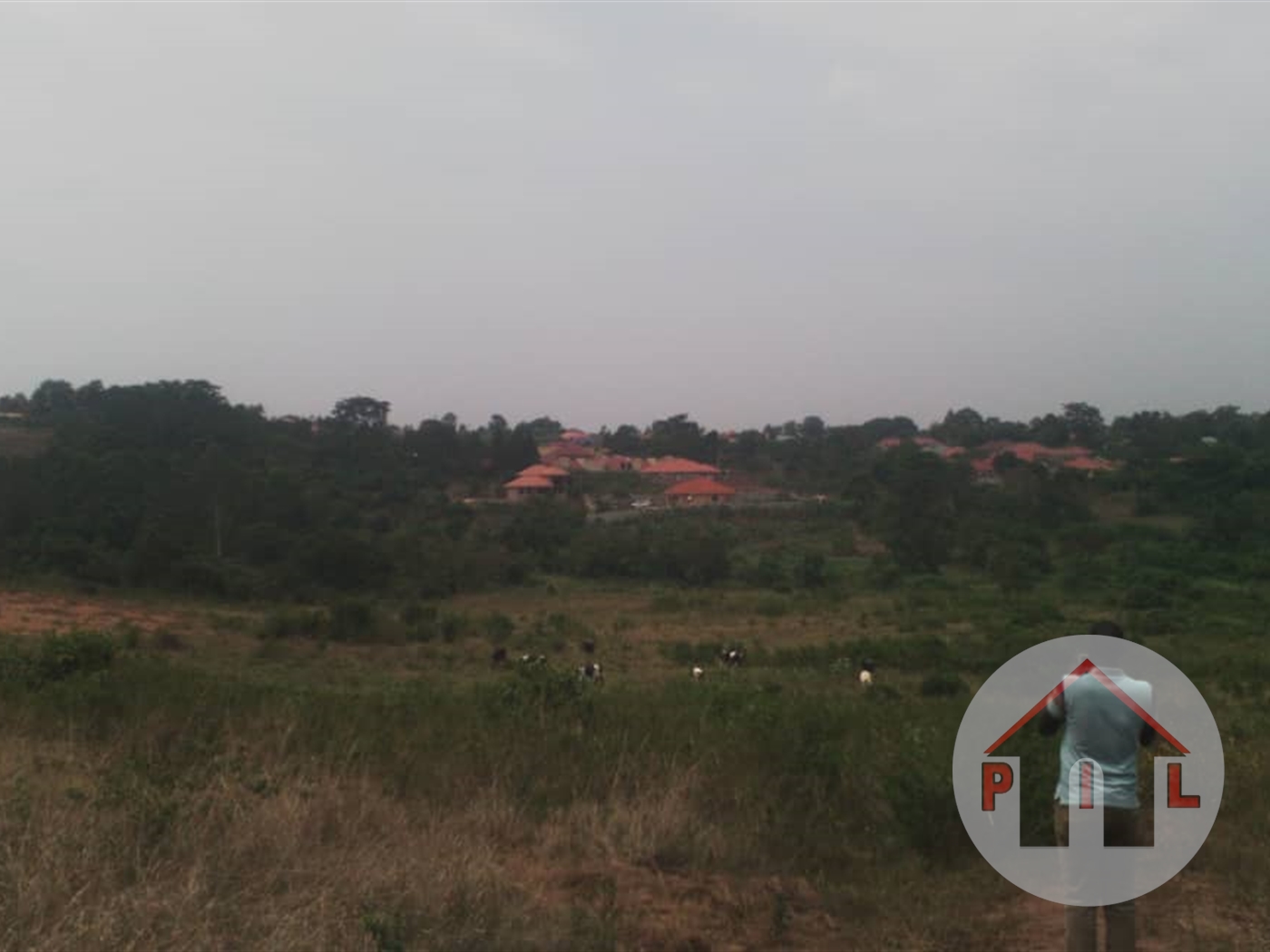 Residential Land for sale in Manyangwa Wakiso