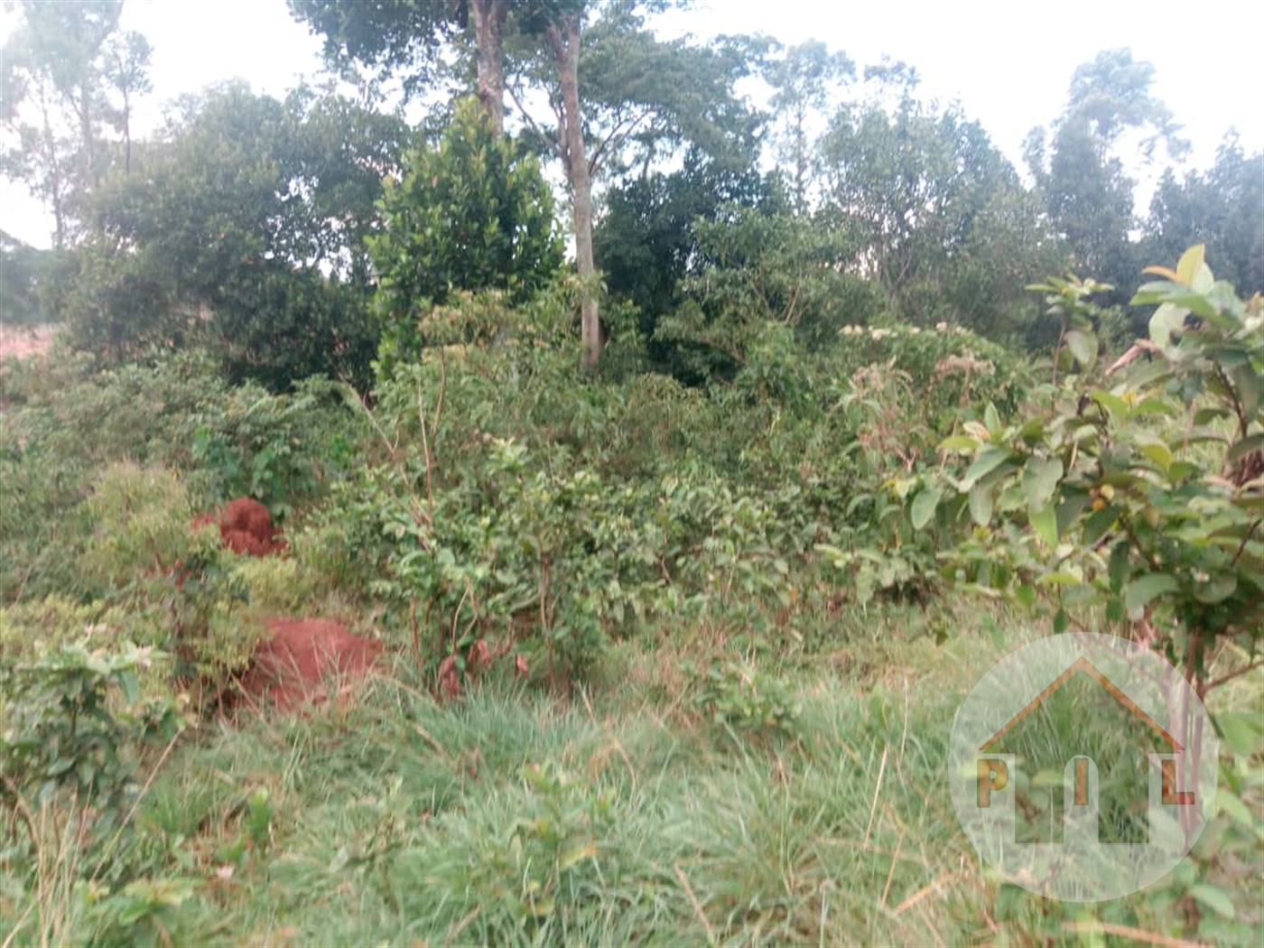 Agricultural Land for sale in Namugongo Wakiso