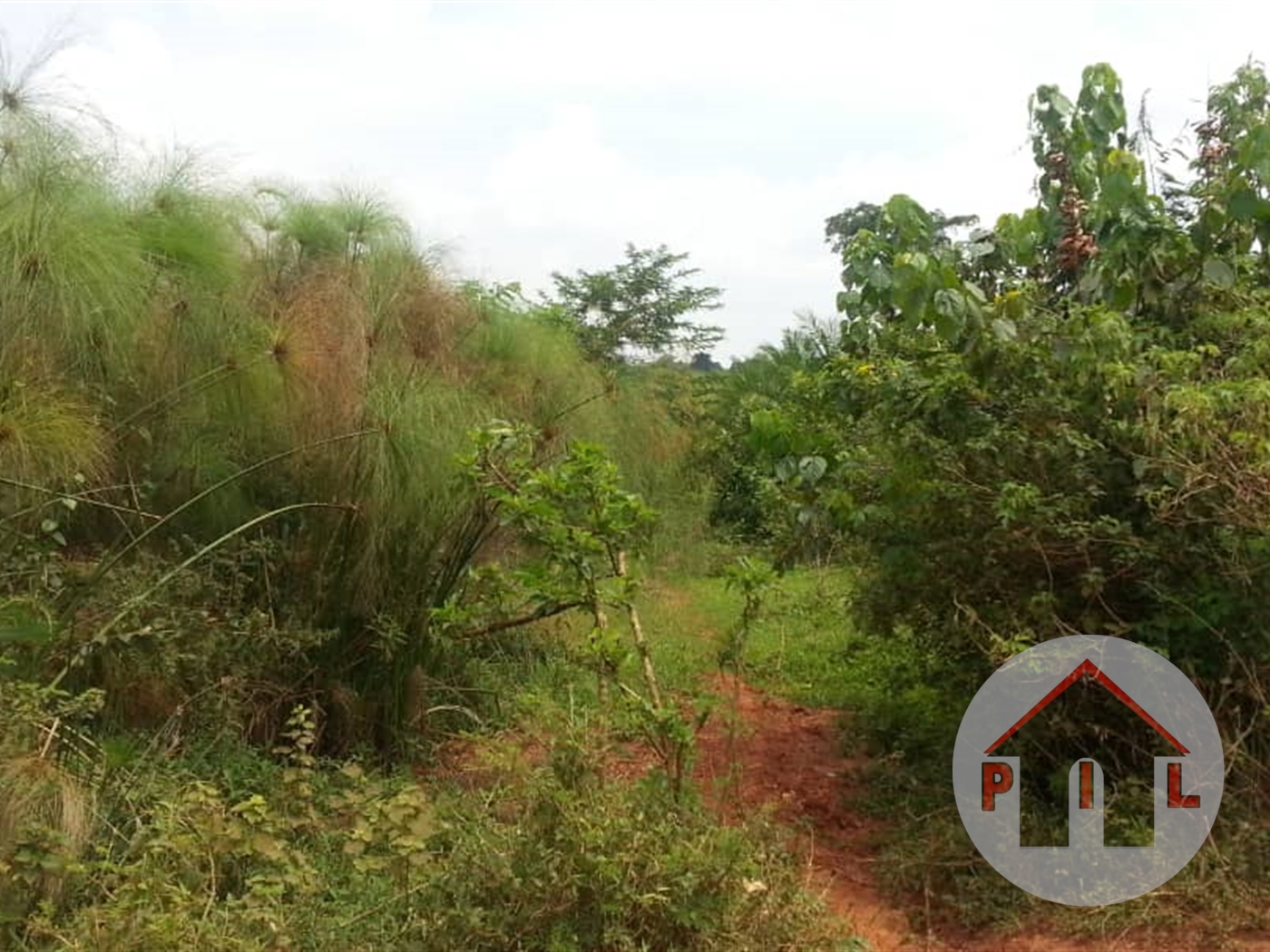 Agricultural Land for sale in Nakaseke Nakaseke
