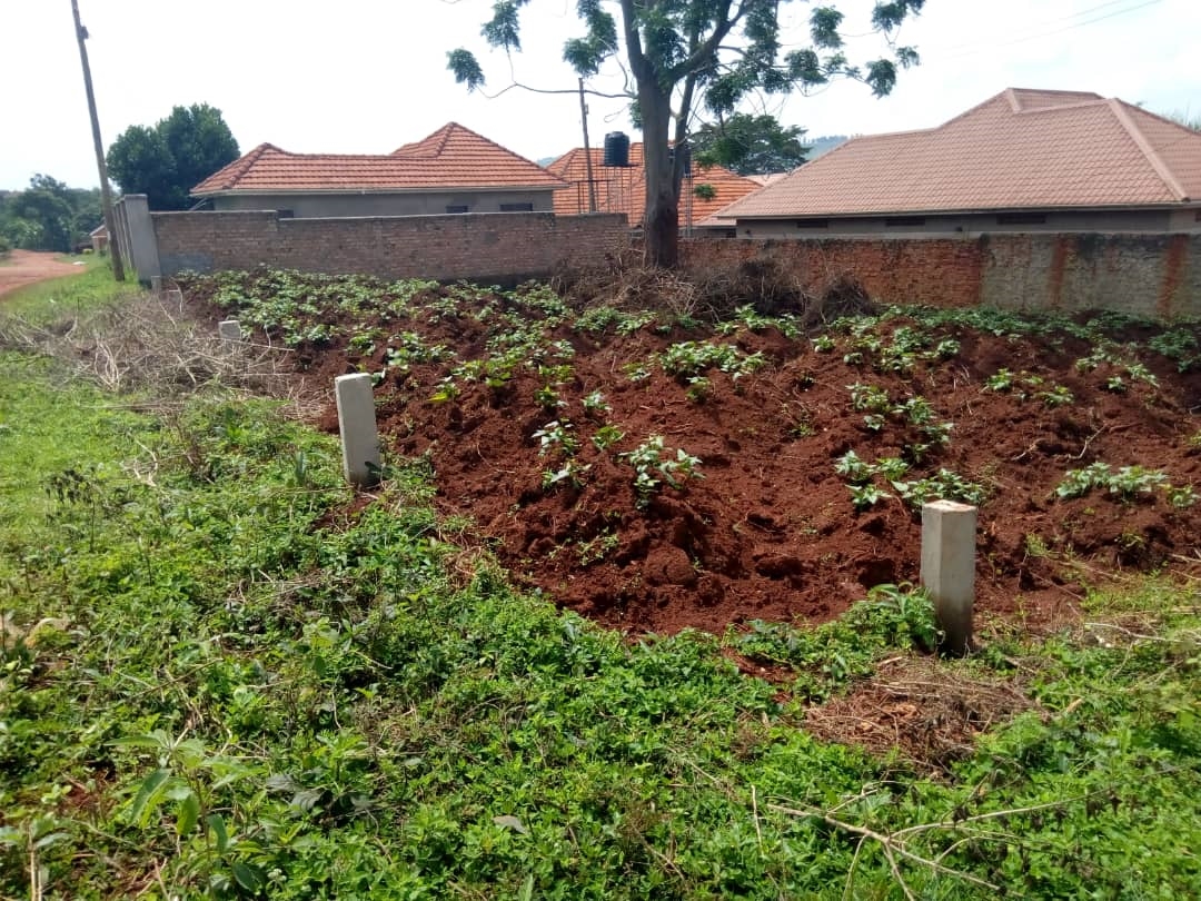 Residential Land for sale in Kitende Wakiso