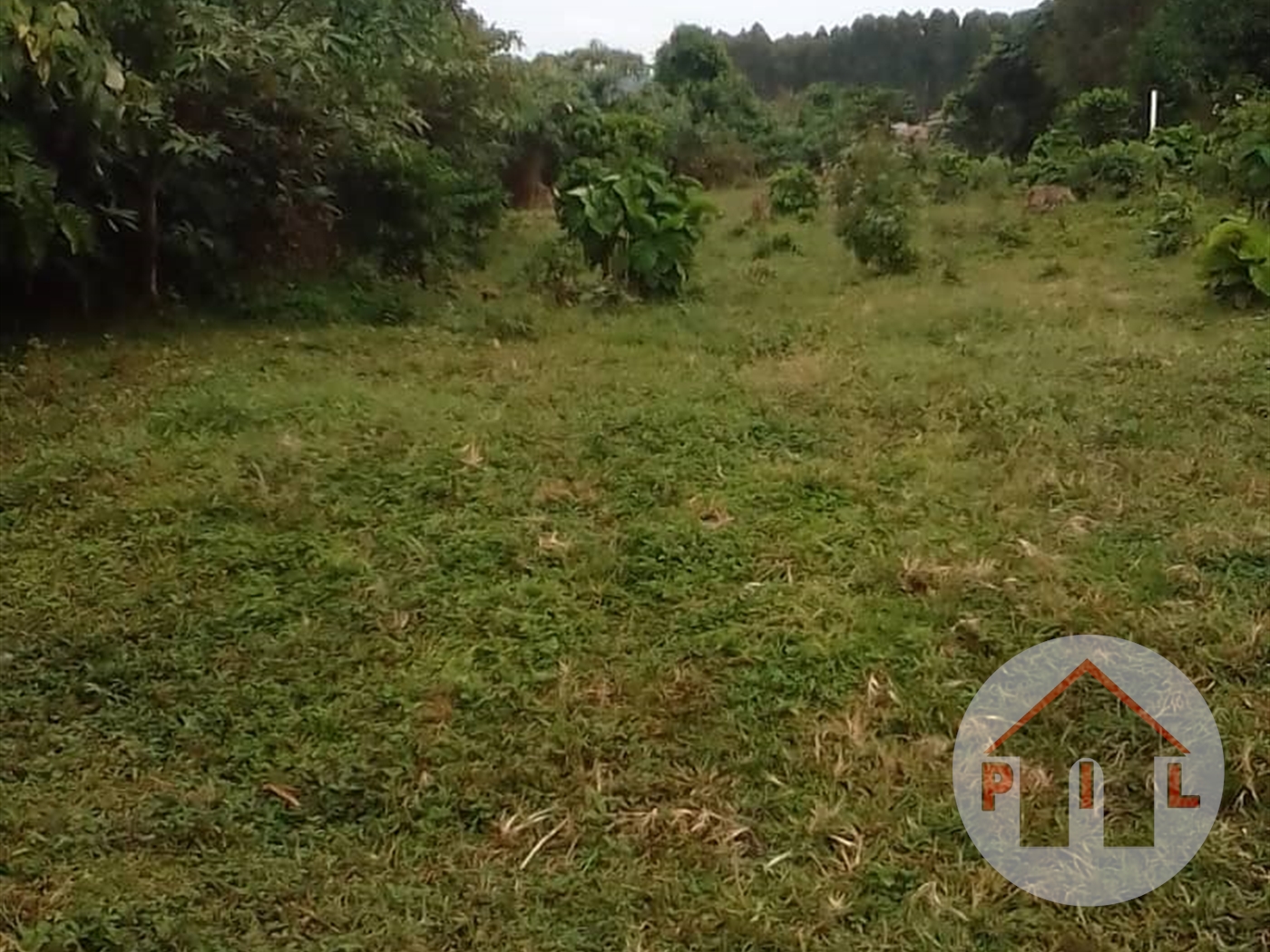 Agricultural Land for sale in Kikyuusa Luweero