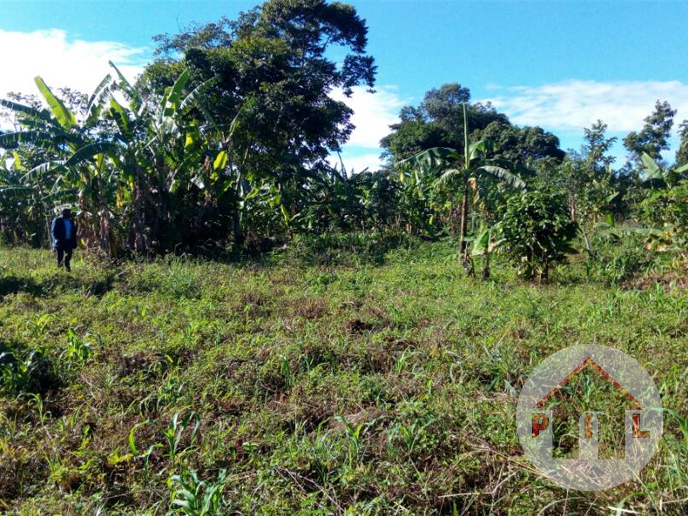 Commercial Land for sale in Busundo Mityana