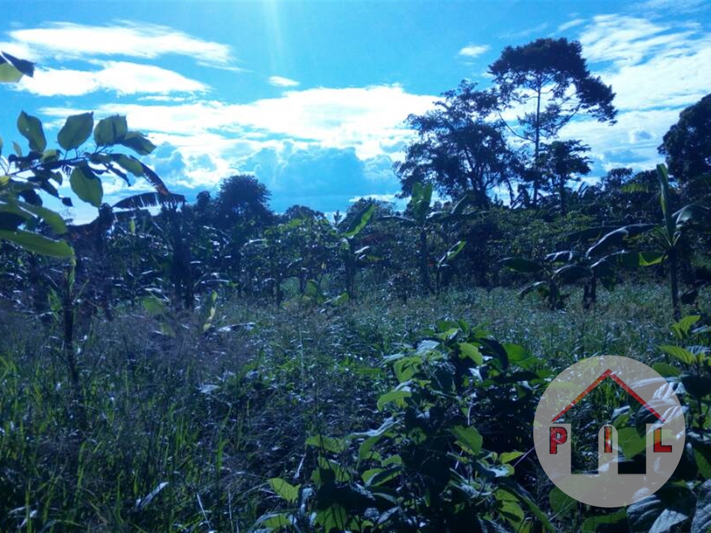 Commercial Land for sale in Busundo Mityana