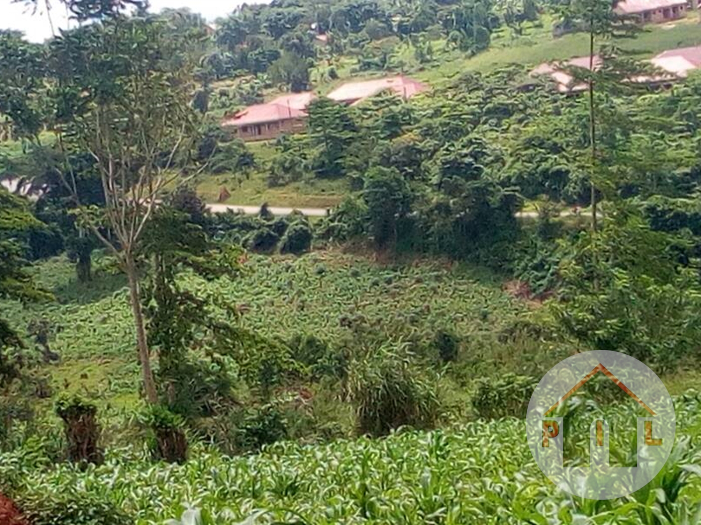 Commercial Land for sale in Nswengere Mpigi