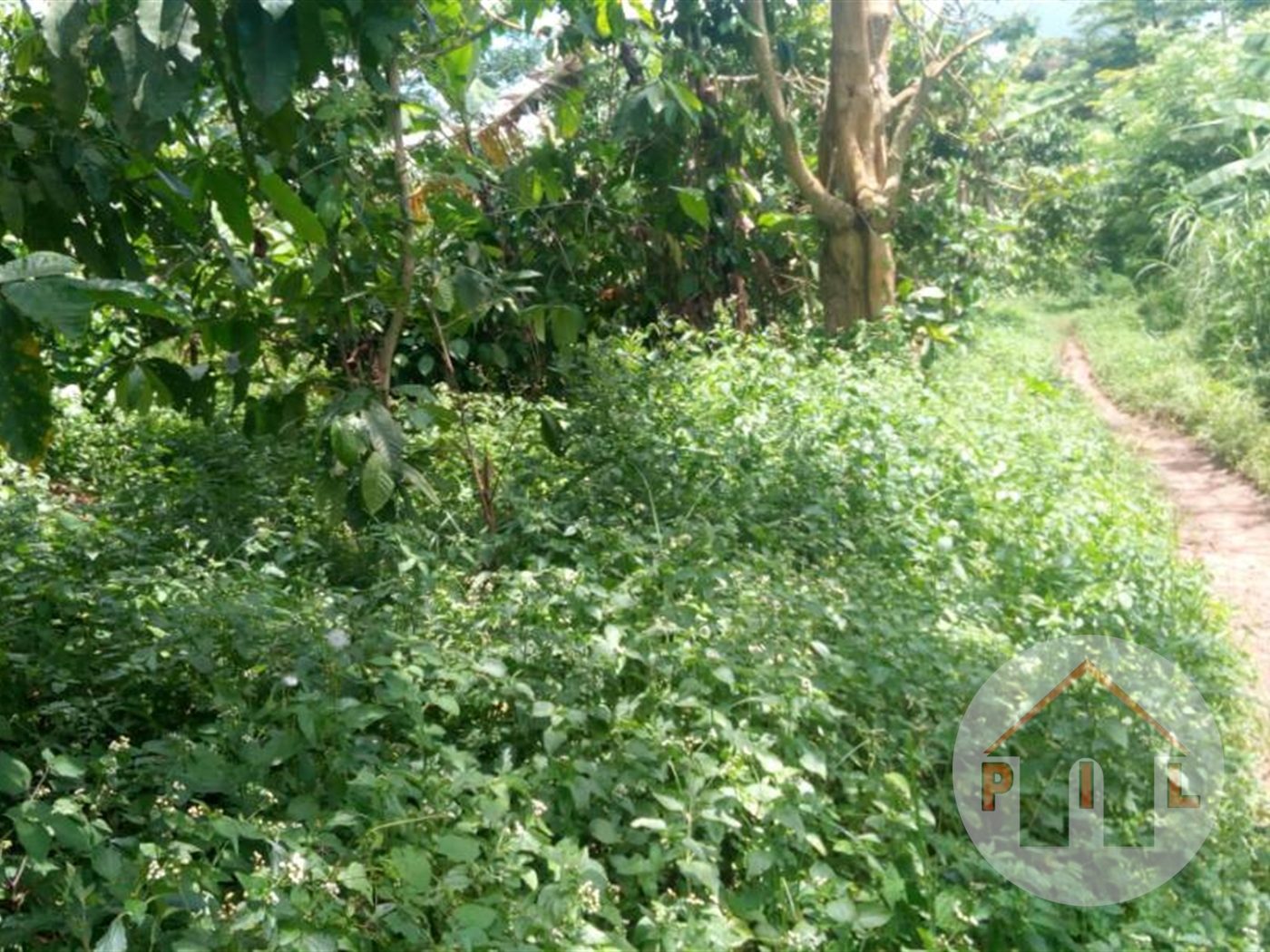 Commercial Land for sale in Nswengere Mpigi