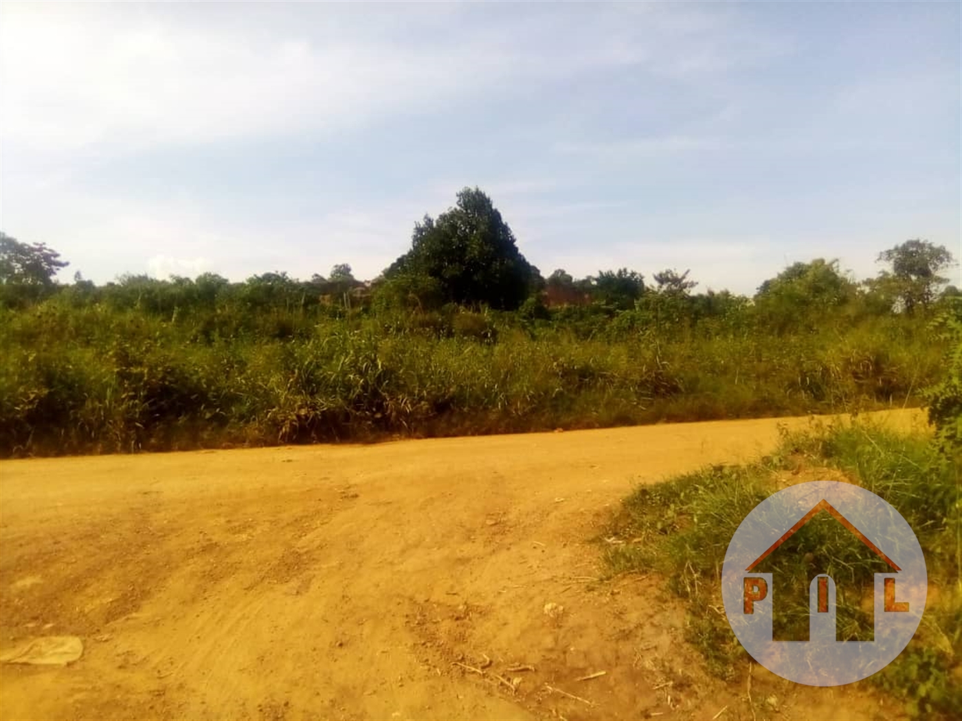 Agricultural Land for sale in Nsuube Mukono