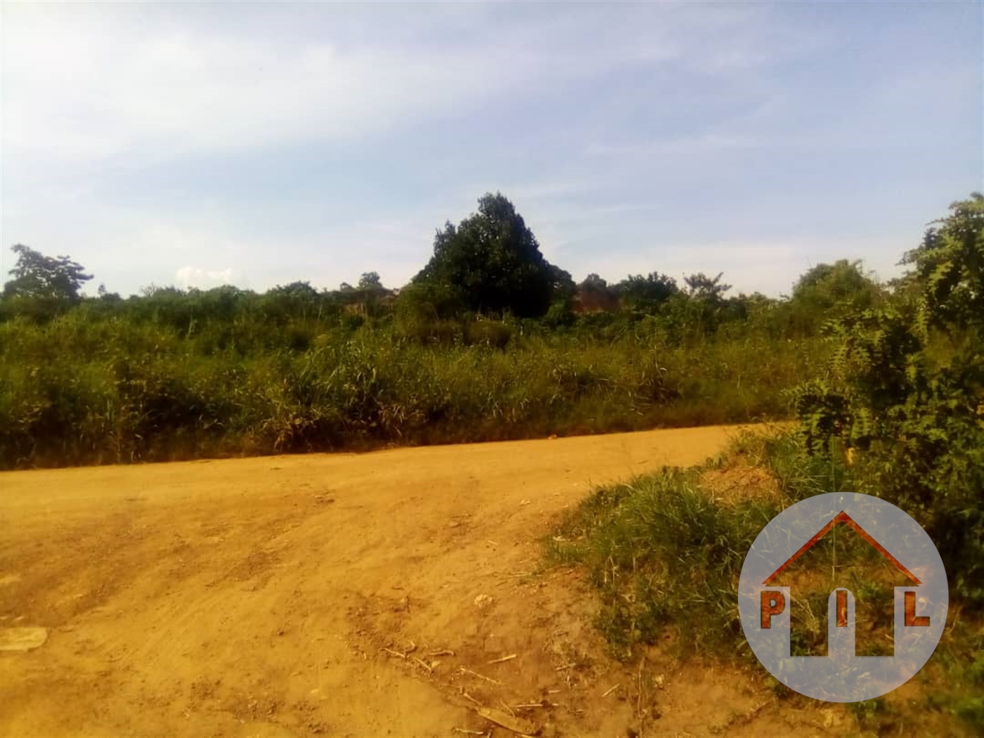 Agricultural Land for sale in Nsuube Mukono