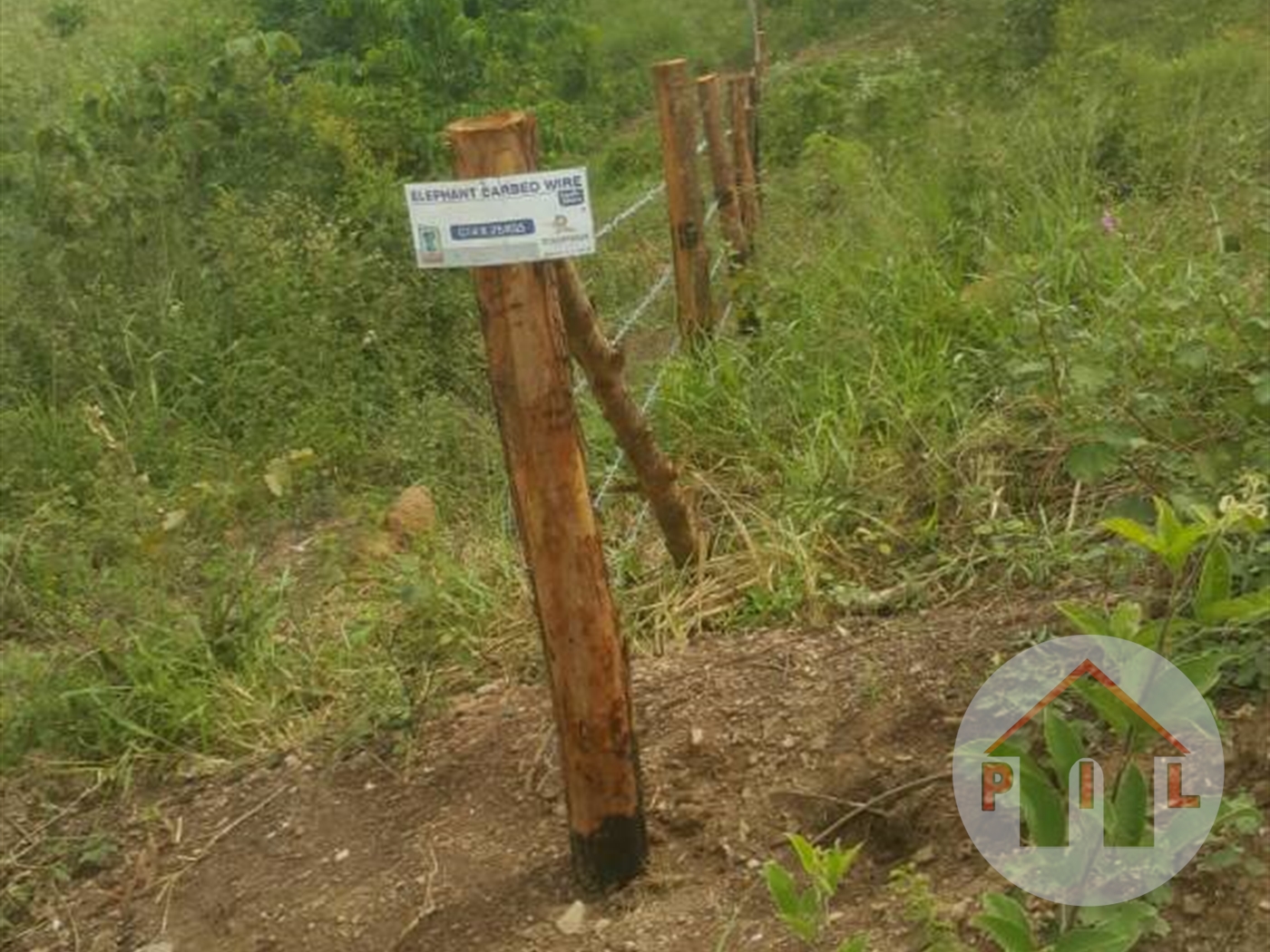 Agricultural Land for sale in Busunjju Mityana